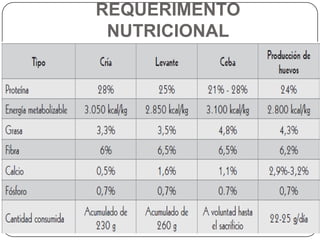 REQUERIMENTO
NUTRICIONAL

 