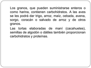 Los granos, que pueden suministrarse enteros o
como harina, contienen carbohidratos. A las aves
se les podrá dar trigo, arroz, maíz, cebada, avena,
sorgo, coracán o salvado de arroz y de otros
granos.
Las tortas elaboradas de maní (cacahuetes),
semillas de algodón o dátiles también proporcionan
carbohidratos y proteínas.

 