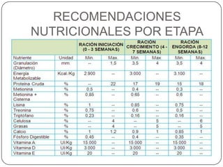 RECOMENDACIONES
NUTRICIONALES POR ETAPA

 