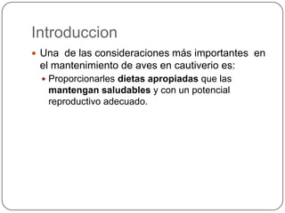 Introduccion
 Una de las consideraciones más importantes en

el mantenimiento de aves en cautiverio es:
 Proporcionarles dietas apropiadas que las

mantengan saludables y con un potencial
reproductivo adecuado.

 