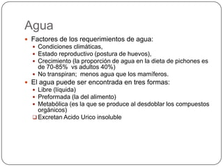 Agua
 Factores de los requerimientos de agua:
 Condiciones climáticas,
 Estado reproductivo (postura de huevos),
 Crecimiento (la proporción de agua en la dieta de pichones es

de 70-85% vs adultos 40%)
 No transpiran; menos agua que los mamíferos.
 El agua puede ser encontrada en tres formas:
 Libre (líquida)
 Preformada (la del alimento)
 Metabólica (es la que se produce al desdoblar los compuestos

orgánicos)
 Excretan Acido Urico insoluble

 