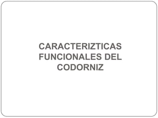 CARACTERIZTICAS
FUNCIONALES DEL
CODORNIZ

 