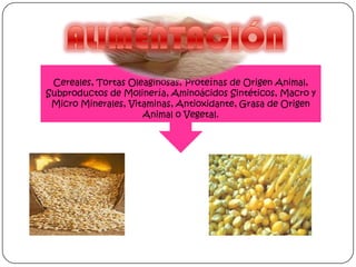 Cereales, Tortas Oleaginosas, Proteínas de Origen Animal,
Subproductos de Molinería, Aminoácidos Sintéticos, Macro y
Micro Minerales, Vitaminas, Antioxidante, Grasa de Origen
Animal o Vegetal.

 