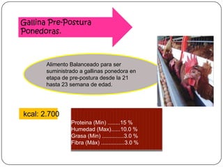 Gallina Pre-Postura
Ponedoras.

Alimento Balanceado para ser
suministrado a gallinas ponedora en
etapa de pre-postura desde la 21
hasta 23 semana de edad.

kcal: 2.700
Proteina (Min) ........15 %
Humedad (Max)......10.0 %
Grasa (Min) ..............3.0 %
Fibra (Máx) ...............3.0 %

 