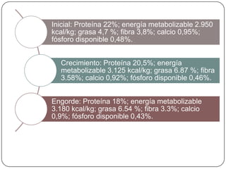 Inicial: Proteína 22%; energía metabolizable 2.950
kcal/kg; grasa 4,7 %; fibra 3,8%; calcio 0,95%;
fósforo disponible 0,48%.
Crecimiento: Proteína 20,5%; energía
metabolizable 3.125 kcal/kg; grasa 6.87 %; fibra
3.58%; calcio 0,92%; fósforo disponible 0,46%.

Engorde: Proteína 18%; energía metabolizable
3.180 kcal/kg; grasa 6.54 %; fibra 3.3%; calcio
0,9%; fósforo disponible 0,43%.

 