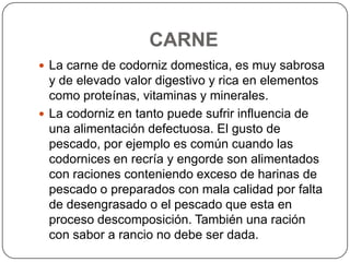 CARNE
 La carne de codorniz domestica, es muy sabrosa

y de elevado valor digestivo y rica en elementos
como proteínas, vitaminas y minerales.
 La codorniz en tanto puede sufrir influencia de
una alimentación defectuosa. El gusto de
pescado, por ejemplo es común cuando las
codornices en recría y engorde son alimentados
con raciones conteniendo exceso de harinas de
pescado o preparados con mala calidad por falta
de desengrasado o el pescado que esta en
proceso descomposición. También una ración
con sabor a rancio no debe ser dada.

 
