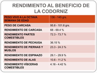 RENDIMIENTO AL BENEFICIO DE
LA CODORNIZ
PESO VIVO A LA OCTAVA
SEMANA DE EDAD

136 - 145 grs.

PESO DE CARCASA

95.8 - 101.6 grs.

RENDIMIENTO DE CARCASA

68 - 69.4 %

RENDIMIENTO PARTES
COMESTIBLES

72.3 - 73.7 %

RENDIMIENTO DE PECHUGA

36.15 %

RENDIMIENTO DE PIERNAS Y
MUSLOS

23.3 - 24.3 %

RENDIMIENTO DE ESPINAZO

29.1 - 29.9 %

RENDIMIENTO DE ALAS

10.6 - 11.2 %

RENDIMIENTO VÍSCERAS
COMESTIBLES

4.18 - 4.42 %

 