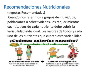 Recomendaciones Nutricionales
(Ingestas Recomendadas)
Cuando nos referimos a grupos de individuos,
poblaciones o colectivi...