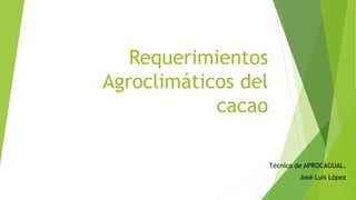 Requerimientos
Agroclimáticos del
cacao
Técnico de APROCAGUAL.
José Luis López
 