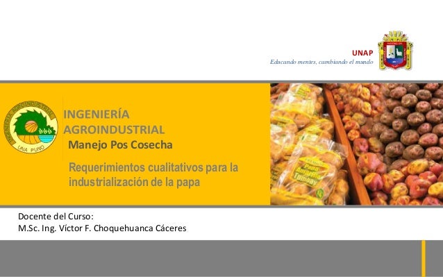 INDUSTRIALIZACION DE LA PAPA DOWNLOAD INDUSTRIALIZACION DE LA PAPA DOWNLOAD