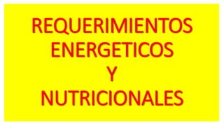 REQUERIMIENTOS
ENERGETICOS
Y
NUTRICIONALES
 
