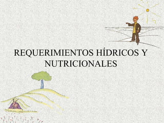 REQUERIMIENTOS HÍDRICOS Y
     NUTRICIONALES
 
