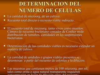 DETERMINACION DEL NUMERO DE CELULAS La cantidad de microorg. de un cultivo: Recuento total directo o recuento viable indirecto. El recuento total de microorg. tanto vivos como muertos: Cámara de recuento bacteriano contador de Coulter mide distribución de tamaños, cantidades en las suspensiones bacterianas. Determinación de las cantidades viables es necesario extender un muestra de cultivo. La cantidad de unidades o grupos viables presentes se determinan  a partir del recuento de colonias y la dilución. Las muestras que contienen menos de 100 microorg. por ml. tales como orina o agua natural transparente requieren concentración en lugar de dilución antes del recuento. 