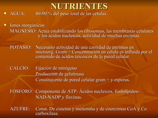 NUTRIENTES AGUA: 80-90 % del peso total de las células. Iones inorgánicos:  MAGNESIO: Actúa estabilizando los ribosomas, las membranas celulares    y los ácidos nucleicos, actividad de muchas enzimas. POTASIO:  Necesario actividad de una cantidad de enzimas en  microorg. Gram + Concentración en célula es influida por el  contenido de ácidos teicoicos de la pared celular CALCIO:  Fijación de nitrógeno Producción de gelatinasa Constituyente de pared celular gram + y esporas. FOSFORO:  Componente de ATP- Ácidos nucleicos, fosfolípidos- NAD-NADP y flavinas. AZUFRE:  Const. De cisteína y metionina y de coenzimas CoA y Co  carboxilasa. 