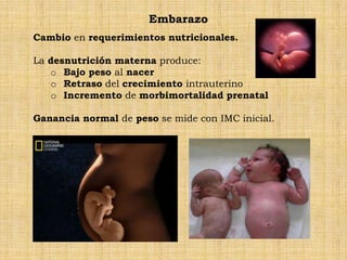 Embarazo
Cambio en requerimientos nutricionales.

La desnutrición materna produce:
   o Bajo peso al nacer
   o Retraso del crecimiento intrauterino
   o Incremento de morbimortalidad prenatal

Ganancia normal de peso se mide con IMC inicial.
 