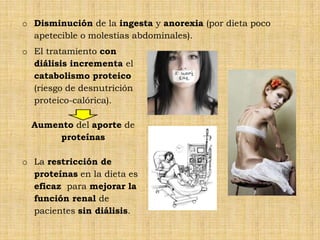 o Disminución de la ingesta y anorexia (por dieta poco
  apetecible o molestias abdominales).
o El tratamiento con
  diálisis incrementa el
  catabolismo proteico
  (riesgo de desnutrición
  proteico-calórica).

  Aumento del aporte de
       proteínas

o La restricción de
  proteínas en la dieta es
  eficaz para mejorar la
  función renal de
  pacientes sin diálisis.
 