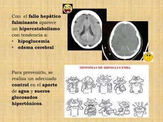 Con el fallo hepático
fulminante aparece
un hipercatabolismo
con tendencia a:
• hipoglucemia
• edema cerebral




Para prevenirlo, se
realiza un adecuado
control en el aporte
de agua y sueros
glucosados
hipertónicos.
 