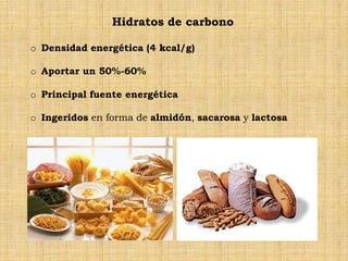 Hidratos de carbono

o Densidad energética (4 kcal/g)

o Aportar un 50%-60%

o Principal fuente energética

o Ingeridos en forma de almidón, sacarosa y lactosa
 