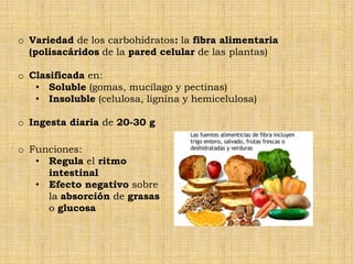 o Variedad de los carbohidratos: la fibra alimentaria
  (polisacáridos de la pared celular de las plantas)

o Clasificada en:
   • Soluble (gomas, mucílago y pectinas)
   • Insoluble (celulosa, lignina y hemicelulosa)

o Ingesta diaria de 20-30 g

o Funciones:
   • Regula el ritmo
     intestinal
   • Efecto negativo sobre
     la absorción de grasas
     o glucosa
 
