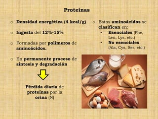 Proteínas

o Densidad energética (4 kcal/g)      o Estos aminoácidos se
                                        clasifican en:
o Ingesta del 12%-15%                    • Esenciales (Phe,
                                             Leu, Lys, etc.)
o Formadas por polímeros de              •   No esenciales
  aminoácidos.                               (Ala, Cys, Ser, etc.)

o En permanente proceso de
  síntesis y degradación




      Pérdida diaria de
       proteínas por la
          orina (N)
 