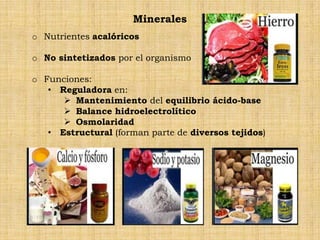 Minerales
o Nutrientes acalóricos

o No sintetizados por el organismo

o Funciones:
   • Reguladora en:
       Mantenimiento del equilibrio ácido-base
       Balance hidroelectrolítico
       Osmolaridad
   • Estructural (forman parte de diversos tejidos)
 