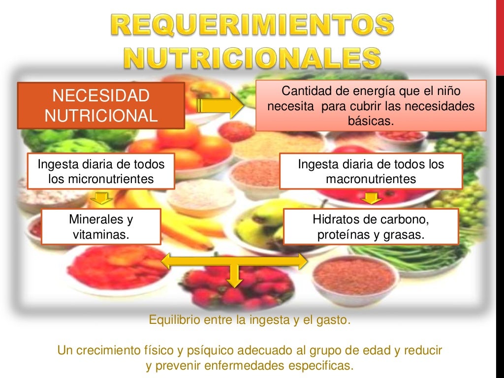 Sage 2024 Requerimientos Nutricionales Corry Sage 2024 Requerimientos Nutricionales Corry