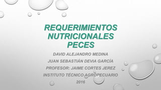 REQUERIMIENTOS
NUTRICIONALES
PECES
DAVID ALEJANDRO MEDINA
JUAN SEBASTIÁN DEVIA GARCÍA
PROFESOR: JAIME CORTES JEREZ
INSTITUTO TÉCNICO AGROPECUARIO
2016
 