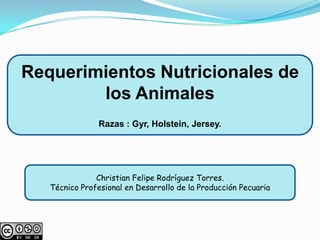 Requerimientos Nutricionales de
        los Animales
                Razas : Gyr, Holstein, Jersey.




               Christian Felipe Rodríguez Torres.
   Técnico Profesional en Desarrollo de la Producción Pecuaria
 