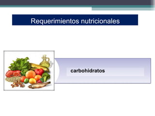 Requerimientos nutricionales




            carbohidratos
 
