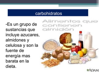 carbohidratos

-Es un grupo de
sustancias que
incluye azucares,
almidones y
celulosa y son la
fuente de
energía mas
barata en la
dieta.
 