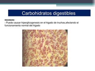 Carbohidratos digestibles
excesos:
- Puede causar hiperglicogenesis en el higado de truchas,afectando el
funcionamiento normal del higado
 