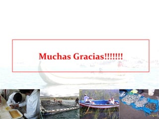 Muchas Gracias!!!!!!!
 