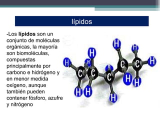 lípidos
-Los lípidos son un
conjunto de moléculas
orgánicas, la mayoría
son biomoléculas,
compuestas
principalmente por
carbono e hidrógeno y
en menor medida
oxígeno, aunque
también pueden
contener fósforo, azufre
y nitrógeno
 