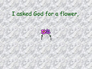 I asked God for a flower,   