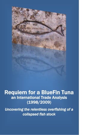 Requiem for a BlueFin Tunaan International Trade Analysis (1998/2009)Uncovering the relentless overfishing of a collapsed fish stock Requiem for a BlueFin Tunaan International Trade Analysis (1998/2009)Uncovering the relentless overfishing of a collapsed fish stockA Report by:Suaviter in modo, Fortiter in re.Advanced Tuna Ranching Technologies, SL ©®™C/ O’Donnell, 32 – 2º E28009 Madrid, Spain.Cell: + 34 650 37 76 98Email: romi.b.re@hotmail.com An international disgrace governed by a looting rationale “Suppose that I stick to my quota, but others do not. In this case BlueFins will get fished out, and everyone will be the looser in the long term. But I will be a looser in the short term as well, since by confining myself to the quota allocated to me I will suffer an immediate drop in income that others do not. Suppose on the other hand that I break my quota. Then, if others break theirs, BlueFins get fished out, certainly, but I am not a special loser. Contrariwise, if others keep to their quotas while I break mine, the stock will be preserved to my long term benefit as well as theirs, but unlike them, I will not suffer an immediate drop in income either. So, whether other BlueFin Tuna fishing states ignore or observe their quotas, my best strategy is to ignore mine, while blaming others for doing so.”  Index            Page Introduction005 Trade data sources and general methodology007 Used Sources for Processed Fresh & Frozen BlueFin Tuna Trade Statistical Data Crosschecks007 Used Statistical Codes for Processed Fresh & Frozen BlueFin Tuna Trade012 ICCAT Codes for Processed Fresh & Frozen BlueFin Tuna Trade and Used Conversion Factors014 Antecedents of a Peak BlueFin Tuna scenario016 Overkill logistics016 Overkill NEA+MED BFT Quotas & TACs; “Negotiating with biology”...018 1998-2009 BFT Trade data Analysis022 An estimation of ex-Trade BlueFin Tuna catches during the period 1998-2009022 Trade-Flux Block I: An estimation of Intra-EU27 Processed Fresh & Frozen BlueFin Tuna trade volumes during the period 1998-2009027 Trade-Flux Block II: An estimation of EU27 Processed Fresh & Frozen BlueFin Tuna exports to Japan during the period 1998-2009039 Trade-Flux Block III: An estimation of EU27 Processed Fresh & Frozen BlueFin Tuna exports to the USA during the period 1998-2009054 Trade-Flux Block IV: An estimation of EU27 Processed Fresh & Frozen BlueFin Tuna exports to non EU27 (Excl. Japan & USA) during the period 1998-2009068 Trade-Flux Block V: An estimation of Processed Fresh & Frozen BlueFin Tuna exports to EU27 by Morocco, Algeria, Tunisia, Libya, Egypt & Turkey, during the period 1998-2009079 Trade-Flux Block VI: An estimation of Processed Fresh & Frozen BlueFin Tuna exports to Japan by Croatia during the period 1998-2009089 Trade-Flux Block VII: An estimation of Processed Fresh & Frozen BlueFin Tuna exports to Japan by Iceland, Norway, Morocco, Algeria, Tunisia, Libya, Egypt & Turkey, during the period 1998-2009096 Trade-Flux Block VIII: An estimation of Processed Fresh & Frozen BlueFin Tuna exports to the USA by Iceland, Norway, Morocco, Algeria, Tunisia, Libya, Egypt & Turkey, during the period 1998-2009106 Trade-Flux Block IX: An estimation of Processed Fresh & Frozen BlueFin Tuna exports to Korea, China & Panama by Libya & Turkey, during the period 1998-2009113 Conclusions116 List of acronyms129 Introduction ICCAT’s ill-termed Management Plan, pompously set to save Atlantic BlueFin Tuna (BFT) from stock collapse, has turned out to be a total and utter failure. ICCAT has the dishonourable privilege of having overseen a 72% decline in the adult population of the eastern Atlantic and Mediterranean stock of BlueFin tuna and an 82% percent decline in the adult population of the western Atlantic stock, over the past 40 years. In recent years (1998-2008) countries that fish the eastern stock, which spawns in the Mediterranean, have illegally done so at over twice the sustainable level, thus causing the dramatic stock decline of a species that has been fished inside the Mediterranean Sea for as long as 7.000 years. Tuna ranches in Cyprus remain empty in 2009 due to extreme low catches in the eastern Mediterranean; Tuna ranches in Malta, Greece, Turkey and Tunisia have been jam-packed with juvenile BFT in 2008 and 2009. Rampant BFT over catch during the past five years has not been reduced by the so called ICCAT BFT Management Plan and meagre enforcement of fishing, ranching and trade control measures. Chart 000: “Aquacalypse now”: An intolerable tax-free loot by one of the most heavily subsidised fishing, ranching and trading industries worldwide. An unbearable scam in the eyes of concerned tax-payers, namely in the European Union, by far the main culprit of such an international disgrace. In fact and contrary to ICCAT’s grossly underreported catch statistics, the gap between ICCAT yearly allocated BFT quotas and BFT real catches has widen alarmingly. Since a traded BlueFin Tuna can only be a fished BFT, the present report uses official trade data as a mean to estimate the degree of real BFT overfishing during the past decade. It clearly demonstrates, among other facts, that yearly detected and identified BFT quota over-catches have raised from 3.569.673,48 Kgs. in 2004 to a staggering 24.297.826,03 Kgs. in 2008. The 2004-2008 wholesale value of such an intolerable tax-free loot would amount to some € 1.411 million; whereas the wholesale value of such over catches for the period 1998-2008 would amount to a total ≈ € 3.076 million, that is ≈ 25% of an estimated ≈ € 12.000 million global BFT trade value, calculated for the last decade. Such values, in essence conservative, do not take into account BFT black-market trade fluxes during the 1998-2008 decade. This “international disgrace” has been characterised by recurrent mala-fides and wilful ignorance in the light of fishing and ranching blatant illegalities having been committed by ICCAT Contracting Parties themselves during the period 1998-2008. As Dr. Peter Makoto Miyake, Former Deputy Director General of ICCAT confirms, “the reason for the failure in the management of Eastern Atlantic BlueFin tuna is that fishing countries around the Mediterranean have not complied with ICCAT's regulatory measures. (...)  If member States had abided by the quota, the present situation would never have happened.” And yet the proposal to ban international trade of Atlantic BlueFin Tuna (BFT) thus recommending a listing of the species on Appendix I of the Convention on International Trade in Endangered Species of Wild Fauna and Flora (CITES) could only but further sparkled the picaresque of a ruthless global Tuna cartel with little or no social-responsibility culture. Adding outrage to insult, a widespread “à la carte” pseudo-scientific media campaign, generously funded by one of the most heavily subsidised fishing, ranching and trading industries worldwide, is now proactively denying that the King of Sushi is just about to collapse if not definitively gone. Requiem for a BlueFin Tuna, an international trade analysis (1998-2009), Uncovering the relentless overfishing of a collapsed fish stock. Printed in Madrid, Spain on October 20nd 2009. Trade data sources and general methodology Used Sources for Processed Fresh & Frozen BlueFin Tuna Trade Statistical Data Crosschecks Recorded exports of fresh & frozen BFT from Mediterranean countries to Japan, the USA, the EU, Korea and other destinations, have been analysed in an attempt to assess the levels of wild BFT having been caught in the North East Atlantic and Mediterranean Sea (NEA + MED) from January 1998 to December 2008, included. In order to assess such levels of BFT catches during such period, a number of ICCAT Contracting Parties’ Statistical Document bi-annual reports were reviewed and data contained in such documents was logged into a database. This Report’s findings are based on a Trade-Flux Block (TFB)-Crosscheck Analysis Approach. The following  BlueFin Tuna (BFT) TFBs and related sources of official trade statistical data, were thus analysed in an attempt to estimate the amounts of wild BFT having been caught in the North East Atlantic and Mediterranean Sea (NEA + MED) from January 1998 to December 2008, included. Trade-Flux Block I: Intra EU27 Processed BFT Trade; Trade statistical source: Eurostat Type of trade statistical data: 1998/June 2009 TARIC CN8 Trade Data. Trade-Flux Block II: Processed BFT Exports to Japan by EU27; Trade statistical sources: Eurostat, Japanese Customs, 2005-2008 Bi-annual Statistical Document Declarations to ICCAT Type of trade statistical data: 1998/June 2009 TARIC CN8 Trade Data, 1998/June 2009 HS9 Trade Data, 2005-2008 semestrial processed fresh & frozen BFT Exports. Trade-Flux Block III: Processed BFT Exports to USA by EU27; Trade statistical sources: Eurostat, US Dept. of Agriculture-Foreign Agricultural Service, 2005-2008 Bi-annual Statistical Document Declarations to ICCAT Type of trade statistical data: 1998/June 2009 TARIC CN8 Trade Data, 1998/June 2009 HS10 Trade Data, 2005-2008 semestrial processed fresh & frozen BFT Exports. Trade-Flux Block IV: Processed BFT Exports to non EU27 (Excl. Japan & USA) by EU27; Trade statistical sources: Eurostat, 2005-2008 Bi-annual Statistical Document Declarations to ICCAT Type of trade statistical data: 1998/June 2009 TARIC CN8 Trade Data, 2005-2008 semestrial processed fresh & frozen BFT Exports. Trade-Flux Block V: Processed BFT Exports by Morocco, Algeria, Tunisia, Libya, Egypt & Turkey to EU27; Trade statistical sources: Eurostat, 2005-2008 Bi-annual Statistical Document Declarations to ICCAT Type of trade statistical data: 1998/June 2009 TARIC CN8 Trade Data, 2005-2008 semestrial processed fresh & frozen BFT Exports. Trade-Flux Block VI: Processed BFT Croatian Exports to Japan; Trade statistical sources: Japan Customs, Croatia Chamber of Economy, Agriculture, Food Industry & Forestry Department, 2005-2008 Bi-annual Statistical Document Declarations to ICCAT Type of trade statistical data: 1998/June 2009 HS9 Trade Data, 2005-2008 semestrial processed fresh & frozen BFT Exports. Trade-Flux Block VII: Processed BFT Exports to Japan by Iceland, Norway, Morocco, Algeria, Tunisia, Libya, Egypt & Turkey; Trade statistical sources: Japan Customs, 2005/June 2009 Bi-annual Statistical Document Declarations to ICCAT Type of trade statistical data: 1998/June 2009 HS9 Trade Data, 2005/June 2009 semestrial processed fresh & frozen BFT Exports. Trade-Flux Block VIII: Processed BFT Exports to USA by Iceland, Morocco, Tunisia & Turkey; Trade statistical sources: US Dept. of Agriculture-Foreign Agricultural Service, 2005/June 2009 Bi-annual Statistical Document Declarations to ICCAT Type of trade statistical data: 1998/June 2009 HS10 Trade Data, 2005/June 2009 semestrial processed fresh & frozen BFT Exports. Trade-Flux Block IX: Processed BFT Exports to Korea, China & Panama by Libya & Turkey. Trade statistical sources: 2005/June 2009 Bi-annual Statistical Document Declarations to ICCAT Type of trade statistical data: 2005/June 2009 semestrial processed fresh & frozen BFT Exports. Other official sources of information have also been monitored and used for the purpose of this report. These are: ICCAT: 1998/2008 SCRS Task I Catch Data 2007/2008 CoC CPs reports 2008/2009 BCD database Catch Data 2005/2009 CPs’ Bi-annual Statistical Document Declarations 2005 Q1+Q2 Statistical Document bi-annual report by Japan 2005 Q1+Q2 Statistical Document bi-annual report by Algeria: ICCAT Circular: 1328/06 2005 Q1+Q2+Q3+Q4 Statistical Document bi-annual report by China: ICCAT Circular: 667/06 2005 Q1+Q2+Q3+Q4 Statistical Document bi-annual report by Turkey: ICCAT Circular: 558/06 2005 Q1+Q2+Q3+Q4 Statistical Document bi-annual report by USA: ICCAT Circular: 2157/06 2005 Q3+Q4 Statistical Document bi-annual report by Croatia: ICCAT Circular: 504/06 2005 Q3+Q4 Statistical Document bi-annual report by EU: ICCAT Circular: 815/06 2005 Q3+Q4 Statistical Document bi-annual report by Japan: ICCAT Circular: 760/06 2005 Q3+Q4 Statistical Document bi-annual report by Korea: ICCAT Circular: 684/06 2005 Q3+Q4 Statistical Document bi-annual report by Taiwan: ICCAT Circular: 585/06 2005 Q3+Q4 Statistical Document bi-annual report by Tunisia: ICCAT Circulars: 092/06, 300/06 & 1513/06 2005 Q3+Q4 Statistical Document bi-annual report by Turkey: ICCAT Circulars: 1226/06, 025/07 2005 Q3+Q4 Statistical Document bi-annual report by USA: ICCAT Circular: 739/06 2006 Q1+Q2 Statistical Document bi-annual report by EU: ICCAT Circular: 1929/06 2006 Q1+Q2 Statistical Document bi-annual report by Japan: ICCAT Circular: 1847/06 2006 Q1+Q2 Statistical Document bi-annual report by Korea: ICCAT Circular: 1776/06 2006 Q1+Q2 Statistical Document bi-annual report by Taiwan: ICCAT Circular: 1624/06 2006 Q1+Q2 Statistical Document bi-annual report by Turkey: ICCAT Circular: 025/07 2006 Q1+Q2 Statistical Document bi-annual report by USA: ICCAT Circular: 2517/06 2006 Q3+Q4 Statistical Document bi-annual report by Croatia: ICCAT Circulars: 228/07 & 382/07 2006 Q3+Q4 Statistical Document bi-annual report by EU: ICCAT Circular: 614/07 2006 Q3+Q4 Statistical Document bi-annual report by Japan: ICCAT Circular: 627/07 2006 Q3+Q4 Statistical Document bi-annual report by Korea: ICCAT Circular: 1089/07 2006 Q3+Q4 Statistical Document bi-annual report by Morocco: ICCAT Circular: 430/07 2006 Q3+Q4 Statistical Document bi-annual report by Taiwan: ICCAT Circular: 499/07 2006 Q3+Q4 Statistical Document bi-annual report by Tunisia: ICCAT Circular: 239/07 2006 Q3+Q4 Statistical Document bi-annual report by Turkey: ICCAT Circular: 1040/07 2006 Q3+Q4 Statistical Document bi-annual report by USA: ICCAT Circular: 541/07 2007 Q1+Q2+Q3+Q4 Statistical Document bi-annual report by China: ICCAT Circular: 1990/08 2007 Q1+Q2 Statistical Document bi-annual report by Croatia: ICCAT Circular: 1659/07 2007 Q1+Q2 Statistical Document bi-annual report by EU: ICCAT Circular: 2031/07 2007 Q1+Q2 Statistical Document bi-annual report by Japan: ICCAT Circular: 1951/07 2007 Q1+Q2 Statistical Document bi-annual report by Korea: ICCAT Circular: 2208/08 2007 Q1+Q2 Statistical Document bi-annual report by Taiwan: ICCAT Circular: 1506/07 (Revised) 2007 Q1+Q2 Statistical Document bi-annual report by Tunisia: ICCAT Circular: 2034/07 2007 Q1+Q2 Statistical Document bi-annual report by Turkey: ICCAT Circular: 1743/07 2007 Q1+Q2 Statistical Document bi-annual report by USA: ICCAT Circular: 1782/07 2007 Q3+Q4 Statistical Document bi-annual report by China: ICCAT Circular: 129/08 2007 Q3+Q4 Statistical Document bi-annual report by EU: ICCAT Circular: 987/08 2007 Q3+Q4 Statistical Document bi-annual report by Japan: ICCAT Circular: 500/08 2007 Q3+Q4 Statistical Document bi-annual report by Korea: ICCAT Circular: 2288/08 2007 Q3+Q4 Statistical Document bi-annual report by Tunisia: ICCAT Circular: 203/08 2007 Q3+Q4 Statistical Document bi-annual report by Turkey: ICCAT Circular: 299/08 2007 Q3+Q4 Statistical Document bi-annual report by USA: ICCAT Circular: 637/08 2008 Q1+Q2 Statistical Document bi-annual report by China: ICCAT Circular: 2289/09 2008 Q1+Q2 Statistical Document bi-annual report by EU: ICCAT Circular: 2187/08 2008 Q1+Q2 Statistical Document bi-annual report by Japan 2008 Q1+Q2 Statistical Document bi-annual report by Korea: ICCAT Circular: 2288/08 2008 Q1+Q2 Statistical Document bi-annual report by Taiwan: ICCAT Circular: 1783/08 2008 Q1+Q2 Statistical Document bi-annual report by Turkey: ICCAT Circulars: 1429/08 & 1936/09 2008 Q1+Q2 Statistical Document bi-annual report by USA: ICCAT Circular: 1964/08 2008 Q3+Q4 Statistical Document bi-annual report by EU: ICCAT Circular: 1197/09 2008 Q3+Q4 Statistical Document bi-annual report by Japan: ICCAT Circular: 716/09 2009 Q1+Q2 Statistical Document bi-annual report by Turkey: ICCAT Circulars: 1788/09 & 1799/09 No 2009 Q1+Q2 Statistical Document bi-annual reports by Japan, EU, USA, China, Korea, Taiwan and other ICCAT CPs were made available by ICCAT at the time of print of this report. Data corresponding to BFT having been caught during 2008 but exported during Q1+Q2 2009, contained in such 2009 Q1+Q2 Statistical Document bi-annual reports, would have therefore been crosschecked with available 2009 Q1+Q2 BFT Trade statistical data from other official sources (Namely Japan Customs, Eurostat and US Dept. of Agriculture-Foreign Agricultural Service) thus allowing a more refined crosscheck of BFT Trade data for such period. Croatia Chamber of Economy (Agriculture, Food Industry & Forestry Department) Used Statistical Codes for Processed Fresh & Frozen BlueFin Tuna Trade Eurostat TARIC CN8 Codes 03023510:Fresh or chilled BlueFin Tunas “Thunnus Thynnus”, for industrial processing or preservation, 03023590:Fresh or chilled BlueFin Tunas “Thunnus Thynnus”, (Excluding Tunas for industrial processing or preservation), 03023911:BlueFin Tunas “Thunnus Thynnus”, fresh or chilled, for industrial processing or preservation, 03023991:BlueFin Tunas “Thunnus Thynnus”, fresh or chilled (Excluding Tunas for industrial processing or preservation), 03034511:Frozen BlueFin Tunas “Thunnus Thynnus”, for industrial processing or preservation, whole, 03034513:Frozen BlueFin Tunas “Thunnus Thynnus”, for industrial processing or preservation, gilled and gutted, 03034519:Frozen BlueFin Tunas “Thunnus Thynnus”, for industrial processing or preservation, without head and gills, but still to be gutted, 03034590:Frozen BlueFin Tunas “Thunnus Thynnus”, (Excluding Tunas for industrial processing or preservation), 03034921:BlueFin Tunas “Thunnus Thynnus”, frozen, for industrial processing or preservation, whole, 03034923:BlueFin Tunas “Thunnus Thynnus”, frozen, for industrial processing or preservation, gilled and gutted, 03034929:BlueFin Tunas “Thunnus Thynnus”, frozen, for industrial processing or preservation (Excluding whole and gilled and gutted). Japan Customs HS9 Codes 0302.35-000:Fresh or chilled BlueFin Tunas “Thunnus Thynnus”, for industrial processing or preservation; 0302.39-010:BlueFin Tunas “Thunnus Thynnus”, Fresh or chilled, for industrial processing or preservation; 0303.45-000:Frozen BlueFin Tunas “Thunnus Thynnus”, for industrial processing or preservation, whole; 0303.49-010:BlueFin Tunas “Thunnus Thynnus”, frozen, for industrial processing or preservation, whole; 0304.20-092:BlueFin Tunas “Thunnus Thynnus”, frozen, for industrial processing or preservation, fillet, loin or other presentations; 0304.29-920:BlueFin Tunas “Thunnus Thynnus”, frozen, for industrial processing or preservation, fillet, loin or other presentations; 0304.90-091:BlueFin Tunas “Thunnus Thynnus”, frozen, for industrial processing or preservation, fillet, loin or other presentations; 0304.99-991:BlueFin Tunas “Thunnus Thynnus”, frozen, for industrial processing or preservation. US Dept. of Agriculture-Foreign Agricultural Service HS10 Codes 0302350000Fresh or chilled BlueFin Tunas “Thunnus Thynnus”, for industrial processing or preservation; 0302390020BlueFin Tunas “Thunnus Thynnus”, Fresh or chilled, for industrial processing or preservation; 0303450000Frozen BlueFin Tunas “Thunnus Thynnus”, for industrial processing or preservation, whole; 0303490020BlueFin Tunas “Thunnus Thynnus”, frozen, for industrial processing or preservation, fillet, loin or other presentations; ICCAT Codes for Processed Fresh & Frozen BlueFin Tuna Trade and Used Conversion Factors Where appropriate, possible and/or necessary, Conversion Factors used to calculate BFT Round Weight used for statistical analysis and calculation are: Belly Meat x10.28 Dressed Weightx  1.25 Fillets & Loinsx  1.67 Gilled & Guttedx  1.16 Othersx  2.00 In all cases, immediately inferior Conversion Factor is applied in case of doubt between two possibilities, as shown in following Table 001. Product Type DescriptionProduct Type CodeProduct Shape DescriptionProduct Shape CodeProduct Origin DescriptionConversion Factor Frozen to Fresh WeightConversion Factor to Whole/Round WeightConversion Factor Wild/RanchedFresh or ChilledFDressedDRRanched1,0001,2501,140Fresh or ChilledFDressedDRWild1,0001,2501,000Fresh or ChilledFFilletFLRanched1,0001,6701,140Fresh or ChilledFFilletFLWild1,0001,6701,000Fresh or ChilledFGilled & GuttedGGRanched1,0001,1601,140Fresh or ChilledFGilled & GuttedGGWild1,0001,1601,000Fresh or ChilledFNot availablen/an/a1,0001,1601,000Fresh or ChilledFOther, Loin, Saku Block, etc…OTRanched1,0001,0001,140Fresh or ChilledFOther, Loin, Saku Block, etc…OTWild1,0001,0001,000Fresh or ChilledFWhole, RoundRDRanched1,0001,0001,140Fresh or ChilledFWhole, RoundRDWild1,0001,0001,000FrozenFRDressedDRRanched1,1001,2501,140FrozenFRDressedDRn/a1,1001,2501,000FrozenFRDressedDRWild1,1001,2501,000FrozenFRFilletFLRanched1,1001,6701,140FrozenFRFilletFLWild1,1001,6701,000FrozenFRGilled & GuttedGGRanched1,1001,1601,140FrozenFRGilled & GuttedGGWild1,1001,1601,000FrozenFRNot availablen/an/a1,1001,1601,000FrozenFROther, Loin, Saku Block, etc…OTRanched1,1001,0001,140FrozenFROther, Loin, Saku Block, etc…OTWild1,1001,0001,000FrozenFRWhole, RoundRDRanched1,1001,0001,140FrozenFRWhole, RoundRDWild1,1001,0001,000 Table 001: Codes for Processed Fresh & Frozen BlueFin Tuna Trade and used Conversion Factors. According to industry sources, belly meat of 8% of wild long-lined and purse-seined BFT is exported on its own, since the rest of the meat is generally not suitable for the Japanese market. Applying an x10,28 Conversion Factor to such product would therefore be safe, though a double counting may occur in the case that such belly meat is exported to Japan and the rest is exported or distributed to lesser choosier markets. According to Industry Sources, the amount of ranched BFT belly meat exported to Japan has been historically minimal (less than 2%). Applying an x10,28 Conversion Factor to farmed BFT belly meat would again be misleading in that there is no effective method to identify whether or not such product is accompanied by loins or fillets belonging to the same fish. (Ranched BFT belly meat and loins may be exported separately thus possibly creating a double-count or over-estimation when converted into Ranched Round Weight (R/RW) and/or W/RW) Accordingly, we have chosen to compute BFT Belly Meat as well as other product shapes (OT) in our calculations as if Whole (RD) with a x 1.000 Conversion Factor to round weight, thus providing to our final results a conservative degree of statistical comfort. Likewise, not available product shapes are also computed as if Whole (RD) with an x 1.000 Conversion Factor to round weight. Whenever the declared origin of the exported/imported BFT is stated as “Ranched” but reported fishing gear is “n/a”, “UNCL” or “OT” we have assumed that fishing gear is “PS” as purse seining is the only fishing gear that allows  BlueFin Tuna to be caught and transferred live into tuna ranching cages. Some experimental live  BlueFin Tuna transferring from set nets: “TRAP” into ranching cages has nevertheless taken place. However, this technique has been hardly used. Accordingly, whenever the declared origin of the exported/imported BFT is stated as “Farmed” and reported fishing gear is “TRAP” we have concurred that fishing gear is “TRAP”. Recently publicised BFT fattening ratios of up to 300% are flatly contested. Serious scientific evidence backing such fantasy claims is simply non-existent if not purportedly faked. To all purposes, maximum average Conversion Factor from ranched BFT weight to Wild Round Weight (W/RW) used in this report is 1,140, with the exception of Croatian Ranched BFT for which such conversion factor is 1,350. References to NEI (unreported)  BlueFin Tuna catch contained in ICCAT data sources were calculated following the formulation: NEI = A – B – C – 0.8 D Where: A = Catch reported to ICCAT B = Imports to USA C = Imports to Japan from wild fish D = Imports to Japan from farming When the NEI values thus calculated are negative, they are taken as estimates of unreported catch. Statistical crosschecks between two or more BFT trade statistical data sources have thus been performed where appropriate, possible and/or necessary. In order to further avoid double counting, live-BFT import/exports amongst ICCAT Contracting Parties inside the Mediterranean Sea under Eurostat TARIC Code: 0301999060, have been discarded for general calculation purposes, with the exception of: Those registered exports of “live-BFT” by EU27 Member States that do not operate inside the Mediterranean Sea, ex. Sweden, Ireland, Denmark and other North European States. Those registered exports of “live-BFT” by EU27 Member States that do operate inside the Mediterranean Sea but for which monthly recorded exports of such “live-BFT” took place well before or after the PS summer fishing season and therefore cannot correspond to true live-BFT transferred to Tuna Ranches. Those registered exports of “live-BFT” by EU27 Member States that operate inside the Mediterranean Sea but for which monthly recorded export volumes for such “live-BFT” are so low that cannot correspond to true live-BFT transferred to Tuna Ranches despite of the fact such monthly recorded exports of “live-BFT” did take place in or around the PS summer fishing season. To all purposes, processed fresh/chilled and frozen BFT trade export/import fluxes are strictly and only order by final exporting and/or importing countries. This does not imply in any way that such export fluxes are directly attributable to BFT catches by recorded final exporting countries. Antecedents of a Peak BlueFin Tuna scenario Overkill logistics Massive overfishing of  BlueFin Tuna by Mediterranean and Asian vessels over the past 12 years is a consequence of first-purchase price squeezing by Japanese tuna companies of wild and ranched BFT producers, while controlling inflation of local end-consumer prices. Thanks to a new generation of ultra-low freezing technology, Japanese fresh and frozen tuna traders are no longer faced with the urgency of its rapid market distribution. Tuna has thus become a commodity with which Japan can indeed speculate. During the 1998-2009 period, Japan has built an impressive revolving frozen BFT stock in its mainland cold-storage stock of frozen fishery products. As shown in Chart 001 and according to NOAA, Japan’s Medium Yearly Frozen BFT mainland registered holdings alone, rose from 15.907 Metric tonnes during 1998 up to 23.623 Metric tonnes during 2009 first semester. It is thought that unrecorded holdings in mainland Japan and abroad in June 2009 could have amounted to some 47.000 Metric tonnes. Chart 001: Mediterranean BFT Ranching Capacity Vs. Frozen BFT Holdings in Japan (All values in Kgs) Faced with lower profit margins, higher fuel costs and a weaker yen, wild and ranched  BlueFin Tuna producers have had no other choice but to overfish and pump-up their BFT ranching capacity, in order to break even over the same 1998-2009 period. Again and as shown in Chart 001, the Mediterranean BFT Ranching Capacity has soared from 3.500 Metric tonnes maximum ranching capacity back in 1998, to a staggering 63.042 Metric tonnes maximum ranching capacity in 2009. Likewise and as shown in Chart 002, the operative Mediterranean Tuna purseine fishing fleet has increased by over 35% during the period 1998-2009. Its operative fishing capacity is thought to have almost doubled due to evermore performing engines, hulls, fishing gears, fish detection technology as well as the widespread use of tuna-spotting aircrafts, banned by ICCAT as late as in 2007. Chart 002: Yearly variation of operative Mediterranean BFT Purseiners by ICCAT Contracting Parties (More than 35,5% increase in fishing capacity in just over a decade) The EU, via its FIFG-IFOP grant program, has largely contributed to this spiralling fishing and ranching overcapacity and uncontrolled overcapitalisation. According to http://www.fishsubsidy.org, the entire EU Mediterranean BFT purseine fishing fleet alone, would have been subsidised by at least € 24.189.236,00. Finally and according to ICCAT itself, the operative BFT reefer vessel fleet has soared from 24 units back in 1998 to 40 units in 2009, as shown in Chart 003. Chart 003: Yearly variation of operative BFT Reefer Vessels registered with ICCAT (Freezing & carrying capacity of frozen BFT has almost doubled  in just over a decade)  Overkill NEA+MED BFT Quotas & TACs; “Negotiating with biology”... In 1997 and with declared 1996 annual  BlueFin Tuna catches in the order of 43.000 Metric tonnes, ICCAT’s scientific body, the Standing Committee on Research and Statistics (SCRS) recommends a catch of 25.000 Metric tonnes. In 1998, the SCRS maintained its 25,000 Metric tonnes recommendation noting that it will “halt the decline in spawning biomass” but could not be expected to return it to historical levels. ICCAT recommends a 1999 the Total Allowable Catch (TAC, quota) of 32.000 Metric tonnes and 29.500 Metric tonnes for 2000. (See Table 002 & Chart 005: Yearly variation of ICCAT BFT Quotas or EU BFT TACs) In 2002 ICCAT sets the TAC for East Atlantic and Mediterranean BlueFin Tuna at 32.000 Metric tonnes for the period 2003-2006. In its 2006 assessment, SCRS notes that reported catches were below quota in 2003-2004 but substantially higher in 2005 – though it believed actual real catches were in the order of 50.000 Metric tonnes throughout the period and that “it is apparent that the TAC regulation … was not respected and was largely ineffective in controlling overall catch”. In 2006 and according yet again to ICCAT’s SCRS “the only scenarios which have potential to address the declines and initiate recovery are those which (in combination) close the Mediterranean to fishing during spawning season and decrease mortality on small fish through fully enforced increases in minimum size. Realized catches in the next few years implied by fully implementing these actions are expected to be in the order of 15.000 tonnes.” Chart 004: Yearly variation of Total NEA + MED PS BFT Catches according to ICCAT's Task I. (Source: ICCAT) Vs. Effective Total adjusted ICCAT NEA+MED BFT Yearly Quotas. (Source: ICCAT) and ICCAT-SCRS Total NEA+MED yearly BFT quota recommendations.  In turn, ICCAT votes to accept an EU proposal for a quota of 29.500 Metric tonnes, reducing to 25.500 Metric tonnes by 2010. Contracting Parties1996 or Base³199719981999200020012002⁵20032004200520062007200820092010Albania0,000,000,000,000,000,000,000,000,000,000,000,000,0050.000,0050.000,00Algeria¹0,000,000,00304.000,004.000.000,004.000.000,000,001.500.000,001.464.000,001.523.000,001.693.000,001.838.770,001.460.040,001.117.420,001.012.130,00China84.000,0084.000,00120.800,00117.800,0055.000,0075.000,0076.000,0074.000,00128.700,00128.700,00117.800,00103.670,0063.550,0061.320,0056.860,00Croatia1.410.000,001.410.000,001.362.500,001.406.500,001.313.000,001.259.000,001.232.000,001.155.000,00951.000,001.069.000,001.022.000,00862.310,00833.080,00641.450,00581.510,00Cyprus0,000,000,0014.000,000,000,000,000,000,000,000,00154.680,00149.440,00112.080,00n/aEgypt0,000,000,000,000,000,000,000,000,000,000,000,000,0050.000,0050.000,00France6.420.000,005.840.000,005.250.000,006.413.000,006.279.000,006.279.000,006.461.000,006.298.000,006.233.000,006.192.700,006.182.000,005.493.650,005.306.730,002.859.000,00n/aGreece664.500,00664.500,00664.500,00126.000,00329.000,00329.000,00359.500,00473.500,00326.000,00323.400,00323.000,00287.230,00277.460,00208.095,00n/aIceland0,000,000,000,000,000,000,0030.000,0040.000,0050.000,0060.000,0053.340,0051.530,0049.720,0046.110,00Italy5.161.500,005.161.500,005.161.500,003.463.000,004.958.000,004.958.000,006.105.000,005.264.700,004.920.000,004.888.000,004.880.000,004.336.310,004.188.770,003.141.577,50n/aJapan3.554.000,003.554.000,002.666.000,003.122.000,002.780.000,002.949.000,002.813.000,002.949.000,003.050.000,002.982.000,002.790.000,003.030.920,002.430.540,001.871.440,001.696.570,00Korea²688.000,00688.000,00591.000,001.197.000,001.816.000,002.429.400,002.429.400,002.428.900,002.428.900,001.728.900,00741.900,00851.700,00171.770,00132.260,00119.900,00Libya⁴ ⁷1.332.000,001.332.000,001.302.000,001.300.000,001.199.000,001.570.000,001.570.000,001.286.000,001.833.800,001.934.200,002.283.500,001.359.000,001.381.990,001.091.520,001.002.330,00Malta0,000,000,00344.000,00419.000,00387.000,000,000,000,000,000,00355.590,00343.540,00257.655,00n/aMorocco⁴ ⁸1.812.000,001.812.000,001.359.000,002.430.000,003.028.000,003.028.000,003.028.000,003.030.000,003.551.000,003.551.000,003.948.000,003.151.300,003.055.560,002.415.260,002.218.490,00Norway0,000,000,000,000,000,000,000,000,000,000,0053.340,0051.530,0049.720,0046.110,00Others0,000,000,000,000,000,001.633.000,001.146.000,001.100.000,001.000.000,00823.000,000,000,000,000,00Portugal500.718,75500.718,75500.718,75519.000,00599.000,00599.000,00803.500,00752.300,00594.000,00590.200,00590.000,00523.880,00506.060,00379.545,00n/aRest of EU MemberStates¹⁰ 0,000,0060.000,0060.000,0060.000,0060.000,0059.500,0060.000,0060.000,0060.000,0060.000,0060.000,00832.517,50n/aSpain5.321.896,505.321.896,505.321.896,505.555.000,006.365.000,006.365.000,006.497.000,006.383.700,006.317.000,006.276.700,006.266.000,005.568.210,005.378.760,004.116.530,00n/aSyria0,000,000,000,000,000,000,000,000,000,000,0053.340,0051.530,0050.000,0050.000,00Taiwan² ⁶546.750,00546.750,00546.750,00714.000,001.123.000,001.468.000,001.493.000,00827.000,00382.000,00331.000,00480.000,00333.600,0068.710,0068.710,0066.300,00Tunisia⁹2.503.000,002.503.000,002.180.300,002.761.300,002.553.300,002.513.300,002.144.000,002.503.000,004.254.000,004.197.000,003.573.000,002.333.600,002.364.480,001.937.870,001.775.670,00Turkey0,000,000,001.155.000,00903.000,002.058.000,000,000,000,000,000,00918.320,00887.190,00683.110,00619.280,00Effective Total adjusted ICCAT NEA+MED BFT Yearly Quotas29.998.365,2529.418.365,2527.026.965,2531.001.600,0037.779.300,0040.326.700,0036.704.400,0036.160.600,0037.633.400,0036.825.800,0035.833.200,0031.722.760,0029.082.260,0022.176.800,0019.950.000,00ICCAT Recommendation Nº and/or EU Commission Regulation Nº:94-11 & 95-0594-11 & 95-0594-11 & 95-0598-05 & EU Creg. 49/199998-05 & EU Creg. 2742/199900-09 & EU Creg. 2848/2000 No ICCAT quotas & EU Creg. 2555/2001 + EU Creg. 1811/200202-08 & EU Creg. 2341/200202-08 & EU Creg. 2287/200302-08 & EU Creg. 27/200502-08 & EU Creg. 51/200606-05 & EU Creg. 41/200706-05 & EU proposed 2008 TACs (Pink)08-05 & EU TACs08-05 & EU TACsICCAT National Quota adjustments:     Adjusted quotas according to EA + MED BFT Compliance Table adopted in 2004. ICCAT biennial period, 2004-2005 Part I (2004)-Vol. 1.  Adjusted quotas according to EA + MED BFT Compliance Table adopted in 2007. Underages of Libya, Morocco and Tunisia in 2005 and 2006, carried over to 2009 and 2010 included.Adjusted quotas according to EA + MED BFT Compliance Table adopted in 1999. ICCAT biennial period, 1998-1999 Part II (1999)-Vol. 1.Adjusted quotas according to EA + MED BFT Compliance Table adopted in 2001. ICCAT biennial period, 2000-2001 Part II (2001)-Vol. 1.   Adjusted quotas according to EA + MED BFT Compliance Table adopted in 2002. ICCAT biennial period, 2002-2003 Part I (2002)-Vol. 1.  Adjusted quotas according to EA + MED BFT Compliance Table adopted in 2005. ICCAT biennial period, 2004-2005 Part II (2005)-Vol. 1. Adjusted quotas according to EA + MED BFT Compliance Table adopted in 2003. ICCAT biennial period, 2002-2003 Part II (2003)-Vol. 1.     Adjusted quotas according to EA + MED BFT Compliance Table adopted in 2006. ICCAT biennial period, 2006-2007 Part I (2006)-Vol. 1.            Table 002: Yearly variation of ICCAT BFT adjusted Quotas or EU BFT TACs (All values in Kgs) Chart 005: Yearly variation of ICCAT BFT adjusted Quotas or EU BFT TACs (All values in Kgs) In 2008 ICCAT’s SCRS estimated 2007 BlueFin Tuna catches amounting to 61.000 Metric tonnes, twice the current total allowable catch (TAC), and four times the sustainable level. SCRS recommended TACs of between 8.500 and 15.000 Metric tonnes, noting that continuing with “the current management scheme will most probably lead to further reduction in spawning stock biomass with high risk of fisheries and stock collapse”. In turn, ICCAT independent performance review deems management of the East Atlantic and Mediterranean BlueFin fishery to be an “international disgrace” with “indications that collapse could be a real possibility”. The report recommends ICCAT immediately suspends fishing until its members show they “can control and report on their catch”. Additional recommended measures include closure of spawning grounds in spawning periods. Noting illegal fishing pushing to twice quota levels and four times scientific recommendations the report concludes “It is difficult to describe this as responsible fisheries management.” Notwithstanding, ICCAT casted aside the views of its scientists and the review panel to endorse a revised “recovery plan” with a 2009 TAC of 22.000 Metric tonnes and a “bad weather” tweak to the closed season which inevitably allowed additional industrial fishing during the 2009 spawning season. 1998-2009 BFT Trade data Analysis An estimation of ex-Trade BlueFin Tuna catches during the period 1998-2009 According to ICCAT-SCRS Task I, ICCAT Contracting Parties have declared a total of 12.459.193,00 Kgs. of W/RW BlueFin Tuna having been caught by Mediterranean and North East Atlantic Sport fishermen during the period 1998-2008. The yearly variations of such catches ordered by ICCAT CP can be seen in Table: 003. (Page 23) Such catches do not appear on any Trade Database since they correspond to Sport fisheries across the Mediterranean Sea and the North East Atlantic, thus unsuitable by law for commercial and/or trade purposes. Retained values are expressed in Kgs. of Round Wild Weights (W/RW) According to ICCAT-SCRS Task I, total NEA+MED BFT Catches by China, Faroe Is, Iceland, Japan, Korea, NEI, Norway, Panama, Serbia, Seychelles, Sierra Leone, Syria & Taiwan, during the period 1998-2008, amounted to a total of 47.633.628,00 Kgs. of W/RW BlueFin Tuna. The yearly variations of such catches ordered by ICCAT CP can be seen in Table: 004. (Page 24) We have chosen to compute such catches as having been directly marketed by those CPs at their national markets’ level (Not exported) A crosscheck between such catches and direct recorded BFT exports by China, Korea & Taiwan to Japan contained in 2005 to 2008 Bi-annual Statistical Document Declarations to ICCAT (See Table: 005, Page 25), shows that the W/RW equivalent of processed fresh and frozen BFT exported volumes to Japan by such countries, are almost always inferior to those of their declared annual catches to ICCAT-SCRS Task I A final crosscheck between W/RW data contained Tables: 003, 004 & 005 shows that total W/RW equivalent of BFT catches ex-Trade for the period 1998-June 2009, amounts to 60.608.439,62 Kgs. The yearly variations of such catches (Sport + Industrial BFT catches ex-Trade) ordered by ICCAT CP can be seen in Table: 006 (Page 26) and Chart 006 below. Chart 006: Yearly variations of W/RW equivalent of NEA+MED Sport + Industrial (ex-Trade) BFT catches by China, Faroe Is., Iceland, Japan, Korea & other CPs. All values in Kgs. MED+NEA BFT Sport Catches by ICCAT CPs. Source ICCAT-SCRS Task I  (Not marketed)             ICCAT CP 19981999200020012002200320042005200620072008Jan.-Jun. 2009ALGERIA180.000,00208.000,00159.000,00163.000,00129.000,000,0039.000,0027.000,0021.000,0020.000,000,00 CROATIA1.000,0039.000,000,004.000,001.000,002.000,000,000,000,000,008.473,00 CYPRUS0,000,000,000,000,000,000,000,000,000,003.478,00 FRANCE22.444,002.921,0013.985,0047.790,0021.705,009.808,002.067,000,000,000,000,00 GREECE279.000,00233.000,00597.000,00341.000,00394.000,00245.000,0073.200,000,006.400,006.550,0093.179,00 ITALY14.000,00425.000,00385.706,00403.169,00621.490,00500.000,00500.100,00500.000,00277.448,000,0016.583,00 MOROCCO634.000,00600.000,00650.000,00195.000,00407.000,00570.000,00597.000,0080.000,00187.000,0019.000,000,00 NEI (FLAG RELATED)64.000,0042.000,000,000,000,000,000,000,000,000,000,00 SPAIN122.000,0062.000,00203.294,00170.100,00120.300,00128.060,00106.232,0033.610,0012.010,0030.410,0021.381,00 TUNISIA48.000,0043.000,0037.000,0058.000,0015.000,0046.000,00109.000,004.300,003.000,004.000,000,00              TOTALS:1.364.444,001.654.921,002.045.985,001.382.059,001.709.495,001.500.868,001.426.599,00644.910,00506.858,0079.960,00143.094,000,00 Table 003: MED+NEA BFT Sport Catches by ICCAT CPs (Not marketed, all values are Round Wild Weights) Source: ICCAT-SCRS Task I Cells highlighted in orange correspond to non available or incomplete data. NEA+MED BFT Catches by China, Faroe Is., Iceland, Japan, Korea & other CPs. Source ICCAT-SCRS Task I             COUNTRY 19981999200020012002200320042005200620072008Jan.-Jun. 2009CHINA85.000,00103.000,0079.600,0068.100,0039.100,0019.300,0041.000,0023.695,00 72.000,0096.289,00 FAROE ISLANDS67.000,00104.000,00118.000,000,000,000,000,000,000,000,000,00 ICELAND2.000,0027.000,000,000,001.133,000,000,000,000,000,0050.000,00 JAPAN3.556.000,003.071.000,003.031.000,002.577.000,002.926.000,003.011.000,002.653.000,002.976.000,002.452.000,002.078.000,003.031.004,0080.240,00JAPAN (ALGERIAN CHARTER)0,000,00700.000,00109.000,00186.000,000,00167.000,00712.000,0088.000,00754.000,000,00 KOREA66.000,000,005.573,00500,00 0,00700.000,001.145.000,0027.000,00276.000,00335.000,00 NEI (COMBINED)1.030.000,001.995.000,00109.000,00571.000,00508.000,00610.000,00709.000,000,000,000,000,00 NEI (FLAG RELATED)891.000,00140.000,0017.000,000,000,000,000,000,000,000,000,00 NORWAY0,005.000,000,000,000,000,000,000,000,000,00295,00 PANAMA0,0013.000,000,000,000,000,000,000,000,000,000,00 SERBIA0,000,004.350,000,000,000,000,000,000,000,000,00 SEYCHELLES0,000,000,000,001.635,000,000,000,000,000,000,00 SIERRA LEONE0,000,0092.620,00118.344,000,000,000,000,000,000,000,00 SYRIA0,000,000,000,000,000,000,000,000,0049.590,0040.500,00 TAIWAN456.000,00249.000,00313.000,00633.000,00666.000,00445.000,0051.000,00277.000,009.000,000,000,00              TOTALS:6.153.000,005.707.000,004.470.143,004.076.944,004.327.868,004.085.300,004.321.000,005.133.695,002.576.000,003.229.590,003.553.088,0080.240,00 Table 004: NEA+MED BFT Catches by China, Faroe Is, Iceland, Japan, Korea, NEI, Norway, Panama, Serbia Seychelles, S. Leone Syria & Taiwan (All values are Round Wild Weights) Source: ICCAT-SCRS Task I Cells highlighted in orange correspond to non available or incomplete data. NEA+MED Processed BFT Exports by China, Faroe Is., Iceland, Japan, Korea & other CPs. Source: Bi-annual Statistical Document Declarations to ICCAT             EXPORTING COUNTRIES19981999200020012002200320042005200620072008Jan.-Jun. 2009CAPE VERDE       8.137,000,0060.000,0045.500,00 CHINA       0,0047.000,0028.000,0051.550,00 IVORY COAST       13.982,000,000,000,00 KOREA       86.267,0076.645,30107.838,1095.875,40 TAIWAN       135.092,0067.186,008.849,400,00              TOTALS:0,000,000,000,000,000,000,00243.478,00190.831,30204.687,50192.925,400,00             W/RW Equivalent of NEA+MED Processed BFT Exports by China, Faroe Is., Iceland, Japan, Korea & other CPs.             EXPORTING COUNTRIES19981999200020012002200320042005200620072008Jan.-Jun. 2009CAPE VERDE       10.382,810,0076.560,0058.058,00 CHINA       0,0059.972,0035.728,0065.769,00 IVORY COAST       17.841,030,000,000,00 KOREA       130.361,70105.881,66168.277,59152.746,97 TAIWAN       172.377,3973.663,7211.291,830,00              TOTALS:0,000,000,000,000,000,000,00330.962,93239.517,38291.857,42276.573,970,00 Table 005: NEA+MED Processed BFT Exports and W/RW Equivalent, by China, Faroe Is., Iceland, Japan, Korea & other CPs. Source: Bi-annual Statistical Document Declarations to ICCAT Cells highlighted in orange correspond to non available or incomplete data. NEA+MED BFT Catches by China, Faroe Is., Iceland, Japan, Korea & other CPs. Source: ICCAT-SCRS Task I and NEA+MED Processed BFT Exports by China, Faroe Is., Iceland, Japan, Korea & other CPs. (All values W/RW Equivalent in Kgs.)             COUNTRY 19981999200020012002200320042005200620072008Jan.-Jun. 2009ALGERIA180.000,00208.000,00159.000,00163.000,00129.000,000,0039.000,0027.000,0021.000,0020.000,000,00 CAPE VERDE0,000,000,000,000,000,000,0010.382,810,0076.560,0058.058,00 CHINA85.000,00103.000,0079.600,0068.100,0039.100,0019.300,0041.000,0047.000,0059.972,0088.000,0096.289,00 CROATIA1.000,0039.000,000,004.000,001.000,002.000,000,000,000,000,008.473,00 CYPRUS0,000,000,000,000,000,000,000,000,000,003.478,00 FAROE ISLANDS67.000,00104.000,00118.000,000,000,000,000,000,000,000,000,00 FRANCE22.444,002.921,0013.985,0047.790,0021.705,009.808,002.067,000,000,000,000,00 GREECE279.000,00233.000,00597.000,00341.000,00394.000,00245.000,0073.200,000,006.400,006.550,0093.179,00 GUINEA0,000,000,000,000,000,000,000,000,0012.000,000,00 ICELAND2.000,0027.000,000,000,001.133,000,000,000,000,000,0050.000,00 ITALY14.000,00425.000,00385.706,00403.169,00621.490,00500.000,00500.100,00500.000,00277.448,000,0016.583,00 IVORY COAST0,000,000,000,000,000,000,0017.841,030,000,000,00 JAPAN3.556.000,003.071.000,003.031.000,002.577.000,002.926.000,003.011.000,002.653.000,002.976.000,002.452.000,002.078.000,003.031.004,0080.240,00JAPAN (CHARTER ALGERIA)  700.000,00109.000,00186.000,00 167.000,00712.000,0088.000,00754.000,000,00 KOREA66.000,000,005.573,00500,000,000,00700.000,001.145.000,00105.881,66276.000,00335.000,00 MOROCCO634.000,00600.000,00650.000,00195.000,00407.000,00570.000,00597.000,0080.000,00187.000,0019.000,000,00 NEI (combined)1.030.000,001.995.000,00109.000,00571.000,00508.000,00610.000,00709.000,000,000,000,000,00 NEI (Flag related)955.000,00182.000,0017.000,000,000,000,000,000,000,000,000,00 NORWAY0,005.000,000,000,000,000,000,000,000,000,00295,00 PANAMA0,0013.000,000,000,000,000,000,000,000,000,000,00 SERBIA0,000,004.350,000,000,000,000,000,000,000,000,00 SEYCHELLES0,000,000,000,001.635,000,000,000,000,000,000,00 SIERRA LEONE0,000,0092.620,00118.344,000,000,000,000,000,000,000,00 SPAIN122.000,0062.000,00203.294,00170.100,00120.300,00128.060,00106.232,0033.610,0012.010,0030.410,0021.381,00 SYRIA0,000,000,000,000,000,000,000,000,0049.590,0040.500,00 TAIWAN456.000,00249.000,00313.000,00633.000,00666.000,00445.000,0051.000,00277.000,0073.663,7214.377,403.337,00 TUNISIA48.000,0043.000,0037.000,0058.000,0015.000,0046.000,00109.000,004.300,003.000,004.000,000,00              TOTALS:7.517.444,007.361.921,006.516.128,005.459.003,006.037.363,005.586.168,005.747.599,005.830.133,843.286.375,383.428.487,403.757.577,0080.240,00 Table 006: Crosschecked W/RW Equivalent of NEA+MED Processed BFT Exports and/or recorded catches by China, Faroe Is., Iceland, Japan, Korea & other CPs + MED+NEA BFT Sport Catches by ICCAT CPs not marketed. Cells highlighted in orange correspond to non available or incomplete data. Trade-Flux Block I: An estimation of Intra-EU27 Processed Fresh & Frozen BlueFin Tuna trade volumes during the period 1998-2009 The only public available intra EU27 trade data of processed fresh & frozen BlueFin Tuna is contained in the Eurostat TARIC CN8 – based Trade Database. A general search for recorded monthly exports of processed fresh/chilled & frozen BlueFin Tuna among EU27 Member States for the period January 1998 to June 2009 was thus conducted for the purpose of this report. (Rows: Exporting (R), Columns: Importing (P)) Retained EU27 exporting Countries were: Austria Belgium Bulgaria Cyprus Czech Republic Denmark Estonia Finland France Germany Greece Hungary Ireland Italy Latvia Lithuania Luxembourg Malta Netherlands Poland Portugal Slovenia Slovakia Sweden Romania Spain United Kingdom Retained TARIC CN8 codes for such search were: 03023510:Fresh or chilled BlueFin Tunas “Thunnus Thynnus”, for industrial processing or preservation, 03023590:Fresh or chilled BlueFin Tunas “Thunnus Thynnus”, (Excluding Tunas for industrial processing or preservation), 03023911:BlueFin Tunas “Thunnus Thynnus”, fresh or chilled, for industrial processing or preservation, 03023991:BlueFin Tunas “Thunnus Thynnus”, fresh or chilled (Excluding Tunas for industrial processing or preservation), 03034511:Frozen BlueFin Tunas “Thunnus Thynnus”, for industrial processing or preservation, whole, 03034513:Frozen BlueFin Tunas “Thunnus Thynnus”, for industrial processing or preservation, gilled and gutted, 03034519:Frozen BlueFin Tunas “Thunnus Thynnus”, for industrial processing or preservation, without head and gills, but still to be gutted, 03034590:Frozen BlueFin Tunas “Thunnus Thynnus”, (Excluding Tunas for industrial processing or preservation), 03034921:BlueFin Tunas “Thunnus Thynnus”, frozen, for industrial processing or preservation, whole, 03034923:BlueFin Tunas “Thunnus Thynnus”, frozen, for industrial processing or preservation, gilled and gutted, 03034929:BlueFin Tunas “Thunnus Thynnus”, frozen, for industrial processing or preservation (Excluding whole and gilled and gutted). Likewise, a parallel general search for recorded monthly imports of processed fresh/chilled & frozen BlueFin Tuna among EU27 Member States for the period January 1998 to June 2009 was also performed. (Rows: Exporting (P), Columns: Importing (R)) Retained EU27 importing Countries were again: Austria Belgium Bulgaria Cyprus Czech Republic Denmark Estonia Finland France Germany Greece Hungary Ireland Italy Latvia Lithuania Luxembourg Malta Netherlands Poland Portugal Slovenia Slovakia Sweden Romania Spain United Kingdom Retained TARIC CN8 codes for such search were again: 03023510:Fresh or chilled BlueFin Tunas “Thunnus Thynnus”, for industrial processing or preservation, 03023590:Fresh or chilled BlueFin Tunas “Thunnus Thynnus”, (Excluding Tunas for industrial processing or preservation), 03023911:BlueFin Tunas “Thunnus Thynnus”, fresh or chilled, for industrial processing or preservation, 03023991:BlueFin Tunas “Thunnus Thynnus”, fresh or chilled (Excluding Tunas for industrial processing or preservation), 03034511:Frozen BlueFin Tunas “Thunnus Thynnus”, for industrial processing or preservation, whole, 03034513:Frozen BlueFin Tunas “Thunnus Thynnus”, for industrial processing or preservation, gilled and gutted, 03034519:Frozen BlueFin Tunas “Thunnus Thynnus”, for industrial processing or preservation, without head and gills, but still to be gutted, 03034590:Frozen BlueFin Tunas “Thunnus Thynnus”, (Excluding Tunas for industrial processing or preservation), 03034921:BlueFin Tunas “Thunnus Thynnus”, frozen, for industrial processing or preservation, whole, 03034923:BlueFin Tunas “Thunnus Thynnus”, frozen, for industrial processing or preservation, gilled and gutted, 03034929:BlueFin Tunas “Thunnus Thynnus”, frozen, for industrial processing or preservation (Excluding whole and gilled and gutted). It is to be noted that not all of recorded 1998-2009 processed fresh/chilled & frozen BFT trade fluxes prior to May 1st 2004 and January 1st 2007, can be considered or catalogued as true Intra-EU27 BFT trade fluxes. Some of today’s EU27 Member States were not EU members until 2004 and 2007. Trade fluxes among such states prior to their EU accession date as well as with EU Member States are thus to be considered as extra-EU imports and exports, not regulated by applicable Intra EU Trade regulations. The Trade status chronology among today’s EU27 Member States can be seen in following Table: 007. (Page 30) A first crosscheck between recorded monthly exports and imports of processed fresh/chilled & frozen BlueFin Tuna among EU27 Member States for the period January 1998 to June 2009, was carried-out with the following initial conclusions being addressed: For all EU27 Member States and all TARIC CN8 BFT presentations, there was not a single instance of a monthly correspondence in volume (Kgs.) and value (€), between a given recorded Intra EU27 export flux from one country to another and the recorded Intra EU27 import flux between those two same countries, for that same month, as well as same TARIC CN8 BFT presentation. For all EU27 Member States and all TARIC CN8 BFT presentations, there was not a single instance of a correspondence in volume (Kgs.) and value (€), between a given monthly recorded Intra EU27 export flux from one country to another and the recorded Intra EU27 import flux between those two same countries, for the following first, second and third months, as well as same TARIC CN8 BFT presentation. Table: 007: Trade status chronology among today’s EU27 Member States. Chart 007: Methodology of first crosscheck between recorded monthly exports and imports of processed fresh/chilled & frozen BlueFin Tuna among EU27 Member States for the period January 1998 to June 2009. Chart 008: Methodology of second crosscheck between recorded monthly exports and imports of processed fresh/chilled & frozen BlueFin Tuna among EU27 Member States for the period January 1998 to June 2009. A second crosscheck (See Chart 008) between recorded monthly exports and imports of processed fresh/chilled & frozen BlueFin Tuna among EU27 Member States for the period January 1998 to June 2009 was also carried-out. For all EU27 Member States and all TARIC CN8 BFT presentations, there was not a single instance of a correspondence in volume (Kgs.) and value (€), between a given monthly recorded Intra EU27 import flux from one country to another and the recorded Intra EU27 added export fluxes between those two same countries, for the preceding first, second and third months, as well as same TARIC CN8 BFT presentation. According to Eurostat’s statistics on the trading of goods User Guide: “Statistics on trade between the Member States of the European Union are based on a European Parliament and Council Regulation (EC) No 638/2004 of 31 March 2004 and on the implementing Commission Regulation (EC) No 1982/2004 of 18 November 2004 which lay down or supplement the rules on methodology, thresholds and specific movements and one amending Commission regulation ((EC) No 1915/2005 on simplified quantity reporting). The Intrastat system, which was created as a means of collection of these statistics, came into operation on 1 January 1993.” EUROSTAT “provides for direct collection of information from trade operators, which send the relevant national administration a summary declaration for the previous month’s operations. In France and Italy, these declarations also serve statistical and fiscal purposes.” EUROSTAT “is based on a close link with the VAT system relating to intra-EU trade. The tax authorities of the Member States are required, at least once every quarter, to transmit to the statistical services a list of operators who have made purchases or sales and the value of these operations, so that the exhaustiveness and quality of the statistical data can be checked.” “For intra-EU trade (and to a lesser extent for extra-EU trade) there are thresholds below which the information is either absent or simplified. These have been adopted to limit the burden on information providers, while preserving an acceptable quality of statistical information.” A number of fair and credible assumptions may therefore be asserted at this point: EUROSTAT does not cover the entirety of intra EU27 processed fresh & frozen exports and import fluxes, Since EUROSTAT is based on a close link with the VAT system relating to intra-EU trade, it is our fair assumption that systematic differences between monthly export and import values revealed by both previously described trade data crosschecks, are mostly to be attributable to such fact. Intra EU27 VAT billing regulations allow exporters to invoice importers with or without VAT. In the first case, VAT is declared to the exporter’s Member State Tax Authority. In the second case, VAT is declared to the importer’s Member State Tax Authority. It is therefore fair to assume that: Intra EU27 processed fresh & frozen BFT export values contained in EUROSTAT, only cover those exports that were VAT invoiced by the exporter, Intra EU27 processed fresh & frozen BFT import values contained in EUROSTAT, only cover those exports that were invoiced with no added VAT by the exporter, Both previous assumptions are also valid for trade fluxes among states prior to their EU accession, as well as for such non EU states’ trade fluxes with EU Member States. Both sets of export and import values are therefore complementary and should furthermore be added to reach an acceptable level of statistical exhaustiveness. Accordingly, total intra EU27 processed fresh & frozen BFT export flux for the period 1998-June 2009, amounts to 142.425.050,00 Kgs, as shown in Table 008 (Page 35). The W/RW equivalent for such export flux for the period 1998-June 2009, amounts to 132.403.805,80 Kgs, as shown in Table 009. The yearly variations of W/RW equivalent for such export flux ordered by EU27 Member States, can be seen in Table: 009 (Page 36) and Chart 009 below. Chart 009: Yearly variations of W/RW equivalent of total intra EU27 processed fresh & frozen BFT export flux for the period 1998-June 2009, All values in Kgs. A dramatic fall of intra EU27 processed fresh & frozen BFT export flux is to be pointed-out for the year 2008. (A -51,47% drop in processed fresh & frozen BFT export flux worth ≈ €97,5 million loss, and also corresponding to a -33,37% drop in W/RW equivalent of processed fresh & frozen BFT export flux) Though the exact reasons of such an anomaly are not yet clear, it is worthwhile noting that such a drastic drop may be due to a combined effect of a lower EU BFT catch having been offloaded at EU ports during that year and an effective BFT consumer boycott in Europe spearheaded by leading NGOs and reputable European wholesalers. Intra EU27 Processed BFT Exports. Source Eurostat CN8.BLUEFIN TUNAS 'THUNNUS THYNNUS', FRESH, CHILLED OR FROZEN (INCL. TUNAS FOR INDUSTRIAL PROCESSING OR PRESERVATION) WHOLE, GG & OTHERS (EXCL. FILLETS, LOINS, SAKU, BM, ETC…)             EXPORTING COUNTRIESJan.-Dec. 1998Jan.-Dec. 1999Jan.-Dec. 2000Jan.-Dec. 2001Jan.-Dec. 2002Jan.-Dec. 2003Jan.-Dec. 2004Jan.-Dec. 2005Jan.-Dec. 2006Jan.-Dec. 2007Jan.-Dec. 2008Jan.-Jun. 2009AUSTRIA0,000,000,000,000,000,000,0050,0050,003.550,007.900,001.700,00BELGIUM550,002.150,001.750,003.800,006.050,0027.400,0034.400,0019.500,0038.400,0033.350,0024.450,003.500,00CYPRUS0,000,002.500,0012.800,0013.200,0044.500,00405.350,00400,000,00765.300,00250.450,0028.200,00CZECH REP.0,000,000,000,000,0050,000,00100,00400,00100,001.550,003.400,00DENMARK5.900,0015.800,004.600,0010.950,0025.200,006.950,003.550,004.700,005.300,007.700,009.450,005.350,00ESTONIA0,000,000,000,000,000,000,000,000,00200,000,000,00FINLAND0,000,000,0050,000,000,000,000,000,0050,000,00100,00FRANCE5.328.550,008.786.950,006.384.650,004.529.150,008.550.150,004.436.350,005.106.050,002.425.200,003.692.800,002.486.950,00973.900,00283.650,00GERMANY50,0061.150,00214.200,0093.150,0018.000,005.900,0023.750,0046.900,0018.050,0068.150,0018.700,0012.350,00GREECE184.150,00186.500,00162.550,00261.800,00111.800,00126.700,003.171.000,00193.600,0036.450,0056.050,00102.050,0060.450,00HUNGARY0,000,000,000,000,000,000,0050,000,001.200,000,000,00IRELAND21.950,00176.500,0043.600,0035.100,00800,008.100,0017.000,003.800,004.800,000,0033.700,0058.300,00ITALY2.828.700,003.706.950,003.862.000,002.936.550,001.378.000,001.541.800,002.906.450,004.369.250,002.978.800,00912.250,001.182.750,00622.100,00LATVIA0,000,000,000,000,000,000,005.200,00400,00600,00100,000,00LITHUANIA0,000,000,000,000,000,000,00100,00700,000,000,000,00LUXEMBOURG0,00200,001.000,002.200,0050,00100,000,0050,00200,00450,0014.750,00250,00MALTA0,00500,0050,00100,005.100,0050.750,00144.000,001.213.900,00140.600,0074.300,0027.300,0068.800,00NETHERLANDS30.450,0012.200,0013.400,0030.600,0032.700,0087.850,00124.500,00113.950,0059.750,00123.050,0098.100,0051.350,00POLAND0,000,000,000,000,000,000,000,000,002.100,0026.650,00100,00PORTUGAL244.100,00158.350,00237.800,00326.100,0065.400,0076.400,0071.300,0032.200,0087.850,0060.800,0098.850,00291.600,00SLOVAKIA0,000,000,000,000,000,000,000,000,0050,00250,00200,00SLOVENIA0,000,000,000,000,000,00400,000,007.300,0050,000,002.700,00SPAIN5.268.900,004.351.800,003.009.400,005.011.800,004.414.700,004.236.600,003.069.600,004.915.950,004.709.600,005.753.450,002.478.750,00689.900,00SWEDEN600,00600,002.100,0062.300,00200,008.900,002.300,001.950,002.550,002.350,002.400,0024.050,00UK3.100,001.550,003.800,00450,001.800,002.700,0013.050,0012.700,0024.000,00217.600,0087.950,0024.400,00             TOTALS:13.917.000,0017.461.200,0013.943.400,0013.316.900,0014.623.150,0010.661.050,0015.092.700,0013.359.550,0011.808.000,0010.569.650,005.440.000,002.232.450,00 Table 008 Cells highlighted in orange correspond to non available or incomplete data. W/RW Equivalent Intra EU27 Processed BFT Exports. Source Eurostat CN8.BLUEFIN TUNAS 'THUNNUS THYNNUS', FRESH, CHILLED OR FROZEN (INCL. TUNAS FOR INDUSTRIAL PROCESSING OR PRESERVATION) WHOLE, GG & OTHERS (EXCL. FILLETS, LOINS, SAKU, BM, ETC…)             EXPORTING COUNTRIESJan.-Dec. 1998Jan.-Dec. 1999Jan.-Dec. 2000Jan.-Dec. 2001Jan.-Dec. 2002Jan.-Dec. 2003Jan.-Dec. 2004Jan.-Dec. 2005Jan.-Dec. 2006Jan.-Dec. 2007Jan.-Dec. 2008Jan.-Jun. 2009AUSTRIA0,000,000,000,000,000,000,0055,0055,003.550,007.905,001.710,00BELGIUM560,002.231,251.763,803.800,006.055,0027.432,6034.952,0019.527,6040.260,1036.167,6024.503,803.555,20CYPRUS0,000,002.192,9811.228,0711.578,9539.035,09355.570,18350,880,00671.315,79833,340,00CZECH REP.0,000,000,000,000,0050,000,00100,00405,00105,001.603,753.420,00DENMARK5.900,0015.800,004.600,0011.072,6025.220,007.067,503.580,005.010,005.300,007.705,009.955,005.355,00ESTONIA0,000,000,000,000,000,000,000,000,00242,500,000,00FINLAND0,000,000,0050,000,000,000,000,000,0050,000,00100,00FRANCE5.347.851,008.802.399,356.421.308,804.536.393,358.557.845,604.442.785,805.118.702,202.477.739,803.703.807,402.496.505,00490.122,90127.538,60GERMANY50,0081.062,50285.787,50117.937,5018.140,006.085,0023.970,0048.137,8018.145,0068.155,0018.753,7512.350,00GREECE184.300,00186.638,00162.908,80261.800,00101.741,23111.208,322.782.328,94173.574,5633.552,6251.473,6992.412,2953.026,31HUNGARY0,000,000,000,000,000,000,0055,000,001.320,000,000,00IRELAND21.950,00176.500,0043.620,0035.100,00800,008.100,0017.000,003.800,004.800,000,0033.700,0058.300,00ITALY2.834.749,403.750.630,003.408.684,922.581.380,001.212.530,711.354.918,852.567.362,983.850.759,482.620.369,89803.760,96352.192,28542.212,98LATVIA0,000,000,000,000,000,000,005.200,00400,00600,00100,000,00LITHUANIA0,000,000,000,000,000,000,00100,00700,000,000,000,00LUXEMBOURG0,00200,001.090,002.410,0050,00100,000,0050,00200,00460,0014.750,00250,00MALTA0,00438,6043,86104,174.745,6248.526,32130.438,601.165.192,55130.600,8872.798,2523.947,3759.473,69NETHERLANDS38.872,9513.998,4014.312,8037.008,2032.992,5088.897,50136.877,50124.440,2062.760,00127.865,0099.265,0052.006,25POLAND0,000,000,000,000,000,000,000,000,002.310,0026.675,00100,00PORTUGAL257.741,60186.391,60260.790,80326.100,0072.390,0076.795,0081.417,5034.148,0091.654,0062.597,5099.808,80291.660,00SLOVAKIA0,000,000,000,000,000,000,000,000,0050,00260,00420,00SLOVENIA0,000,000,000,000,000,00400,000,007.300,0050,000,002.700,00SPAIN4.645.593,423.857.724,302.684.302,984.434.264,663.919.317,723.777.686,662.764.677,724.389.513,774.200.615,265.208.520,961.888.265,52607.534,03SWEDEN600,00600,002.100,0064.038,80200,008.900,002.300,001.950,002.550,002.350,002.400,0026.290,00UK3.100,001.587,503.840,00450,001.800,002.710,0013.018,7513.790,0024.005,00228.518,6098.257,5026.390,00             TOTALS:13.341.268,3717.076.201,5013.297.347,2412.423.137,3513.965.407,3310.000.298,6414.032.596,3712.313.494,6410.947.480,159.846.470,853.285.711,301.874.392,06 Table 009 Cells highlighted in orange correspond to non available or incomplete data. EUROSTAT intra EU27 processed fresh & frozen BFT export flux data for the period 1998-June 2009, does not differentiate between exports and re-exports of BFT among EU27 Member States. This is especially true and relevant for BFT trade between the three most important BFT fishing EU Member States: Spain, France & Italy; totalling a combined 1998-2009 EU TAC of 195.922.734,00 Kgs. (92,91%) out of an EU 1998-2009 ICCAT combined ICCAT Quota of 210.875.625,25 Kgs. Based on EUROSTAT intra EU27 processed fresh & frozen BFT export flux data for the period 1998-June 2009, the flow of such imports/exports can be seen at Chart 010. Chart 010: Flow of processed BFT import/export flux for the period 1998-June 2009, among the three most important BFT fishing EU Member States: Spain, France & Italy. All values in Kgs. Source: Eurostat. According to EUROSTAT intra EU27 processed fresh & frozen BFT export flux data during the period 1998-June 2009 between Spain, France and Italy alone, the total flow of BFT exports by and between these three countries amounted to 122.277.800,00 Kgs. of processed BFT, equivalent to 114.126.106 Kgs. (W/RW); that is 58,25% of the combined 1998-2009 EU TAC of 195.922.734,00 Kgs. It appears that France is the leading exporting/re-exporting country with 48.784.200,00 Kgs. of processed BFT equivalent to 49.106.031,00 Kgs. (W/RW) having been exported/re-exported to Spain and Italy during the period 1998-June 2009. France is followed by Spain with 45.005.750,00 Kgs. of processed BFT equivalent to 39.910.849,00 Kgs. (W/RW) having been exported/re-exported to France and Italy during the period 1998-June 2009. Spain is in turn followed at a considerable distance by Italy with 28.487.850,00 Kgs. of processed BFT equivalent to 25.109.226,00 Kgs. (W/RW) having been exported/re-exported to France and Spain during the period 1998-June 2009. In terms of fully detectable exports (FDE), that is: FDE = TE-TI, It appears that Italy is by far the only net exporting country with 16.497.100,00 Kgs. of processed fresh & frozen BFT having been exported net to France and Spain during the period 1998-June 2009. Spain is the most important net importer with 12.244.800,00 Kgs. of processed fresh & frozen BFT having been imported net from Italy during the period 1998-June 2009. Spain is followed by France as a net importer with 4.252.300,00 Kgs. of processed fresh & frozen BFT having been imported net from Italy during the period 1998-June 2009. This would therefore mean that out of a total 122.277.800,00 Kgs. flow of processed fresh & frozen BFT exports by and between these three countries during the period 1998-June 2009, a maximum flux of 105.780.700,00 Kgs. of processed fresh & frozen BFT may well be presumed as corresponding to re-exports, thus raising a double-counting issue. We nevertheless comfortably assume such quantities as being exports. An estimated combined average national domestic consumption of processed fresh & frozen BFT amounting to some 11.000.000,00 Kgs. per year for all three Member States during the period 1998-2008 (That is 121.000.000,00 Kgs.) largely exceeds the 105.780.700,00 Kgs. threshold of presumed processed fresh & frozen BFT re-exports. According to data from Spain’s former Ministry of Agriculture & Fisheries (MAPA-FROM) Spain had an average yearly processed fresh & frozen BFT domestic consumption of 2.889.570,00 Kgs. during the period 2002 to 2005. According to same MAPA-FROM data, Spain’s processed fresh & frozen BFT domestic consumption for 2005 rose to 4.098.500,00 Kgs. According to industry sources, Spain’s processed fresh & frozen BFT domestic consumption for 2006 and 2007 was in tune with that of 2005. According to France’s OFIMER, 15% (1.418.700 Kgs.) of France’s 2004 total BFT Catches (9.458.000,00 Kgs according to EUROSTAT and 7.032.067,00 Kgs. according to ICCAT) were marketed nationally. Again according to OFIMER/DPMA, France imported that same year some 2.800.000,00 Kgs. of processed fresh & frozen BFT from Spain, Italy, Tunisia and Turkey in order to satisfy its national market demand, thus raisin France’s processed fresh & frozen BFT domestic consumption for 2004 up to some 4.200.000,00 Kgs. According to industry sources, France’s processed fresh & frozen BFT domestic consumption for 2005, 2006 and 2007 was in tune with that of 2004. According to industry sources, over 10.000,00 Kgs. of fresh BFT are sold daily at Palermo’s fish market alone, during the three month-long BFT Summer fishing season. Italy’s processed fresh & frozen BFT yearly domestic consumption up until 2007 is estimated at some 3.000.000,00 Kgs. Trade-Flux Block II: An estimation of EU27 Processed Fresh & Frozen BlueFin Tuna exports to Japan during the period 1998-2009 A first general search for EUROSTAT recorded monthly exports of processed fresh/chilled & frozen BlueFin Tuna from EU27 Member States to Japan for the period January 1998 to June 2009 was conducted for the purpose of this report. Retained EU27 exporting Countries were: Austria Belgium Bulgaria Cyprus Czech Republic Denmark Estonia Finland France Germany Greece Hungary Ireland Italy Latvia Lithuania Luxembourg Malta Netherlands Poland Portugal Slovenia Slovakia Sweden Romania Spain United Kingdom Retained TARIC CN8 codes for such search were: 03023510:Fresh or chilled BlueFin Tunas “Thunnus Thynnus”, for industrial processing or preservation, 03023590:Fresh or chilled BlueFin Tunas “Thunnus Thynnus”, (Excluding Tunas for industrial processing or preservation), 03023911:BlueFin Tunas “Thunnus Thynnus”, fresh or chilled, for industrial processing or preservation, 03023991:BlueFin Tunas “Thunnus Thynnus”, fresh or chilled (Excluding Tunas for industrial processing or preservation), 03034511:Frozen BlueFin Tunas “Thunnus Thynnus”, for industrial processing or preservation, whole, 03034513:Frozen BlueFin Tunas “Thunnus Thynnus”, for industrial processing or preservation, gilled and gutted, 03034519:Frozen BlueFin Tunas “Thunnus Thynnus”, for industrial processing or preservation, without head and gills, but still to be gutted, 03034590:Frozen BlueFin Tunas “Thunnus Thynnus”, (Excluding Tunas for industrial processing or preservation), 03034921:BlueFin Tunas “Thunnus Thynnus”, frozen, for industrial processing or preservation, whole, 03034923:BlueFin Tunas “Thunnus Thynnus”, frozen, for industrial processing or preservation, gilled and gutted, 03034929:BlueFin Tunas “Thunnus Thynnus”, frozen, for industrial processing or preservation (Excluding whole and gilled and gutted). Accordingly, total EU27 EUROSTAT recorded processed fresh & frozen BFT exports to Japan for the period 1998-June 2009, amount to 96.766.500,00 Kgs, as shown in Table 010. (Page 41) The W/RW equivalent for such export flux for the period 1998-June 2009, amounts to 88.076.163,64 Kgs, as shown in Table 011. (Page 42) The yearly variations of W/RW equivalent for such export flux ordered by EU27 Member States, can be seen in Chart 011 below. Chart 011: Yearly variations of W/RW equivalent of total EU27 processed fresh & frozen BFT exports to Japan for the period 1998-June 2009, All values in Kgs. Source: EUROSTAT. Processed BFT Exports to Japan by EU27. Source Eurostat CN8.BLUEFIN TUNAS 'THUNNUS THYNNUS', FRESH, CHILLED OR FROZEN (INCL. TUNAS FOR INDUSTRIAL PROCESSING OR PRESERVATION) WHOLE, GG & OTHERS (EXCL. FILLETS, LOINS, SAKU, BM, ETC…)             EXPORTING COUNTRIES19981999200020012002200320042005200620072008Jan.-Jun. 2009CYPRUS0,000,000,0011.000,008.700,003.200,00960.400,001.479.700,000,00939.500,001.020.400,00500,00FRANCE118.400,0026.900,0032.500,006.700,0048.600,0042.800,0087.100,008.100,000,000,000,000,00GREECE97.300,00185.200,00203.500,00217.700,0038.100,0040.700,0037.500,00607.000,001.074.200,00576.000,00682.600,00524.900,00IRELAND0,000,000,000,00155.100,000,000,000,000,000,000,000,00ITALY32.700,0028.100,00110.500,00104.100,00496.500,00170.900,00451.400,001.292.400,002.288.100,001.152.300,001.136.400,0086.200,00MALTA0,000,000,00477.150,001.995.750,002.315.550,003.148.000,004.088.150,005.043.900,006.326.900,001.769.400,00100.900,00PORTUGAL7.600,000,00900,000,000,000,000,000,000,000,000,000,00SPAIN3.218.100,006.370.100,005.157.900,004.688.300,005.053.500,003.241.800,007.066.600,003.427.400,004.005.000,004.842.400,005.746.800,001.981.400,00UK6.600,0021.000,0011.700,005.500,000,000,0038.100,0026.100,000,00100,000,000,00             TOTALS:3.480.700,006.631.300,005.517.000,005.510.450,007.796.250,005.814.950,0011.789.100,0010.928.850,0012.411.200,0013.837.200,0010.355.600,002.693.900,00 Table 010. Cells highlighted in orange correspond to non available or incomplete data. W/RW Equivalent Processed BFT Exports to Japan by EU27. Source Eurostat CN8.BLUEFIN TUNAS 'THUNNUS THYNNUS', FRESH, CHILLED OR FROZEN (INCL. TUNAS FOR INDUSTRIAL PROCESSING OR PRESERVATION) WHOLE, GG & OTHERS (EXCL. FILLETS, LOINS, SAKU, BM, ETC…)             EXPORTING COUNTRIES19981999200020012002200320042005200620072008Jan.-Jun. 2009CYPRUS0,000,000,009.649,127.631,582.807,021.074.368,771.427.780,700,00824.122,81895.087,71438,60FRANCE118.400,0026.900,0032.500,006.700,0048.600,0042.800,0091.470,008.100,000,000,000,000,00GREECE85.416,67162.456,14178.508,77190.964,9133.421,0535.701,7532.894,74532.456,14942.280,70505.263,16598.771,93460.438,60IRELAND0,000,000,000,00170.610,000,000,000,000,000,000,000,00ITALY28.684,2126.319,65102.885,6291.315,79435.543,85151.464,91396.271,931.143.578,952.011.885,971.010.789,47996.842,1175.614,03MALTA0,000,000,00496.782,891.925.245,612.220.620,663.012.087,723.781.162,294.687.263,166.788.692,281.668.619,6588.508,77PORTUGAL7.600,000,00900,000,000,000,000,000,000,000,000,000,00SPAIN2.822.960,535.587.807,024.524.473,684.112.543,864.579.903,512.845.798,256.201.092,103.007.500,003.514.077,894.278.855,265.058.760,971.738.070,18UK6.600,0021.000,0011.700,005.500,000,000,0038.100,0026.100,000,00100,000,000,00             TOTALS:3.069.661,415.824.482,814.850.968,074.913.456,577.200.955,605.299.192,5910.846.285,269.926.678,0811.155.507,7213.407.822,989.218.082,372.363.070,18 Table 011. Cells highlighted in orange correspond to non available or incomplete data. A second general search for Japanese Customs’ recorded monthly imports of processed fresh/chilled & frozen BlueFin Tuna from EU27 Member States for the period January 1998 to June 2009 was again conducted. Retained EU27 exporting Countries were: Austria Belgium Bulgaria Cyprus Czech Republic Denmark Estonia Finland France Germany Greece Hungary Ireland Italy Latvia Lithuania Luxembourg Malta Netherlands Poland Portugal Slovenia Slovakia Sweden Romania Spain United Kingdom Retained HS9 codes for such search were: 0302.35-000:Fresh or chilled BlueFin Tunas “Thunnus Thynnus”, for industrial processing or preservation; 0302.39-010:BlueFin Tunas “Thunnus Thynnus”, Fresh or chilled, for industrial processing or preservation; 0303.45-000:Frozen BlueFin Tunas “Thunnus Thynnus”, for industrial processing or preservation, whole; 0303.49-010:BlueFin Tunas “Thunnus Thynnus”, frozen, for industrial processing or preservation, whole; 0304.20-092:BlueFin Tunas “Thunnus Thynnus”, frozen, for industrial processing or preservation, fillet, loin or other presentations; 0304.29-920:BlueFin Tunas “Thunnus Thynnus”, frozen, for industrial processing or preservation, fillet, loin or other presentations; 0304.90-091:BlueFin Tunas “Thunnus Thynnus”, frozen, for industrial processing or preservation, fillet, loin or other presentations; 0304.99-991:BlueFin Tunas “Thunnus Thynnus”, frozen, for industrial processing or preservation. Accordingly, total Japanese Customs recorded processed fresh & frozen BFT imports by Japan from EU27 for the period 1998-June 2009, amount to 95.276.637,00 Kgs, as shown in Table 012. The W/RW equivalent for such import flux for the period 1998-June 2009, amounts to 124.000.302,18 Kgs, as shown in Table 013. The yearly variations of W/RW equivalent for such import flux ordered by EU27 Member States, can be seen in Chart 012 below. Chart 012: Yearly variations of W/RW equivalent of total processed fresh & frozen BFT imports by Japan from EU27 for the period 1998-June 2009, All values in Kgs. Source: Japanese Customs. A comparative monthly crosscheck between EUROSTAT recorded exports and Japanese Customs’ recorded imports of processed fresh/chilled BlueFin Tuna by & from EU27 Member States for the period January 1998 to June 2009, was retained unviable for the following reasons: Most of the BFT exported by EU27 Member States to Japan, is sold RD-fresh ex-Tuna Ranch to Japanese Tuna traders. Harvested BFT is immediately loaded onboard reefer vessels to be processed (Loined, filleted, etc...) and blast-frozen. Most of frozen processed BFT imports by Japan from EU27, recorded by Japan’s Customs, thus correspond to fresh unprocessed BFT exports to Japan recorded by EUROSTAT. Finally, such monthly comparative crosscheck was retained unviable due to a chronological overlapping issue: Exports recorded for a given month by EUROSTAT may well appear as imports with Japanese Customs two to three month later. EUROSTAT export date cannot correspond to Japan’s Customs’ import date since shipping of such commodity takes between two to three months. Yet, a general comparative crosscheck between EU27 EUROSTAT recorded exports to Japan and Japanese Customs recorded imports by Japan from EU27 for the period 1998-June 2009, reveals a minor total processed fresh & frozen BFT export/import difference of 1.489.863,00 Kgs. for the entire studied period of time. When both export & import fluxes are translated to their respective W/RW equivalents, the difference is no longer a minor one as the import/export gap between both trade data sets amounts to 35.924.138,54 Kgs. for the entire period 1998-June 2009. Processed fresh & frozen BFT imports by Japan from Denmark and Germany amounting to 202.843,00 Kgs. and 11.278,00 Kgs. respectively and for the period 1998-June 2009, are not to be find as exports on EU27 EUROSTAT recorded exports to Japan. EU27 EXPORTS TO JAPAN OF BLUEFIN TUNAS 'THUNNUS THYNNUS', FRESH, CHILLED OR FROZEN (INCL. TUNAS FOR INDUSTRIAL PROCESSING OR PRESERVATION) WHOLE, GG & OTHERS: FILLETS, LOINS, SAKU, BM, ETC… Source Japanese Customs             EXPORTING COUNTRIES19981999200020012002200320042005200620072008Jan.-Jun. 2009CYPRUS0,00930,003.275,0010.575,009.335,003.632,00279.533,00667.987,001.070.507,00707.876,00678.618,00572.839,00DENMARK26.842,0067.469,00102.469,006.063,000,000,000,000,000,000,000,000,00FRANCE751.913,00519.583,00308.172,00179.023,0050.330,00148.932,00191.935,0074.968,0058.102,00360.264,00147.407,00143.334,00GERMANY11.278,000,000,000,000,000,000,000,000,000,000,000,00GREECE293.589,00245.730,00258.157,00265.372,00125.442,0083.520,0043.776,00440.093,00793.244,00432.596,00404.923,00401.575,00IRELAND2.090,008.201,008.621,004.857,004.051,00494,001.665,000,000,000,000,000,00ITALY1.061.620,001.237.418,001.368.109,00772.799,00879.385,001.235.694,00575.065,001.103.674,002.680.585,002.794.478,001.826.609,00753.911,00MALTA164.852,0028.791,00296.501,00616.614,001.119.208,00706.925,001.726.015,002.171.860,004.548.490,002.189.037,004.460.568,002.718.665,00PORTUGAL255.875,00126.033,00141.942,00145.054,00105.313,003.914,001.790,000,000,000,000,000,00SPAIN3.153.017,004.986.175,004.403.246,004.713.845,004.615.199,004.174.832,004.138.922,004.374.587,003.630.602,003.297.612,003.902.155,001.087.685,00UK0,0010.779,000,000,000,000,000,000,000,000,000,000,00             TOTALS:5.721.076,007.231.109,006.890.492,006.714.202,006.908.263,006.357.943,006.958.701,008.833.169,0012.781.530,009.781.863,0011.420.280,005.678.009,00 Table 012. Cells highlighted in orange correspond to non available or incomplete data. W/RW Equivalent EU27 EXPORTS TO JAPAN OF BLUEFIN TUNAS 'THUNNUS THYNNUS', FRESH, CHILLED OR FROZEN (INCL. TUNAS FOR INDUSTRIAL PROCESSING OR PRESERVATION) WHOLE, GG & OTHERS: FILLETS, LOINS, SAKU, BM, ETC… Source Japanese Customs             EXPORTING COUNTRIES19981999200020012002200320042005200620072008Jan.-Jun. 2009CYPRUS0,00815,792.872,819.276,328.188,603.185,96436.843,451.061.956,561.699.477,151.124.943,451.065.502,94893.318,78DENMARK26.842,0073.277,10112.715,906.669,300,000,000,000,000,000,000,000,00FRANCE255.548,13910.504,67513.016,26289.007,3665.330,55217.974,86286.361,01124.928,7478.064,40629.003,40255.611,84248.909,00GERMANY12.405,800,000,000,000,000,000,000,000,000,000,000,00GREECE257.534,21215.552,63226.453,51232.782,46110.036,8473.263,1638.400,00677.696,091.176.080,52663.399,14596.463,46624.692,07IRELAND2.090,008.201,008.621,004.857,004.051,00494,001.665,000,000,000,000,000,00ITALY1.524.983,841.777.901,001.971.347,121.047.247,40993.161,441.463.230,02599.995,481.493.939,883.872.892,474.080.717,312.395.938,601.073.367,74MALTA238.603,0825.255,26379.733,53840.483,591.628.062,29638.588,582.396.318,743.205.905,767.010.886,403.365.869,916.949.774,324.229.607,77PORTUGAL292.486,26138.642,54153.666,88158.447,90115.085,923.914,001.790,000,000,000,000,000,00SPAIN3.583.086,576.142.805,515.455.096,475.398.759,625.379.732,304.532.927,234.422.524,325.160.035,294.337.310,274.068.156,344.867.917,411.238.441,60UK0,0010.779,000,000,000,000,000,000,000,000,000,000,00             TOTALS:6.193.579,899.303.734,508.823.523,487.987.530,958.303.648,946.933.577,818.183.898,0011.724.462,3218.174.711,2113.932.089,5516.131.208,578.308.336,96 Table 013. Cells highlighted in orange correspond to non available or incomplete data. A third general search for Japan’s Fisheries Agency ICCAT recorded semestrial imports of processed fresh/chilled & frozen BlueFin Tuna from EU27 Member States for the period January 2005 to December 2008 was finally conducted. Retained EU27 exporting Countries were: Austria Belgium Bulgaria Cyprus Czech Republic Denmark Estonia Finland France Germany Greece Hungary Ireland Italy Latvia Lithuania Luxembourg Malta Netherlands Poland Portugal Slovenia Slovakia Sweden Romania Spain United Kingdom Retained Japanese ICCAT Bi-annual Statistical Document Declarations were: 2005 Q1+Q2 Statistical Document bi-annual report by Japan 2005 Q3+Q4 Statistical Document bi-annual report by Japan: ICCAT Circular: 760/06 2006 Q1+Q2 Statistical Document bi-annual report by Japan: ICCAT Circular: 1847/06 2006 Q3+Q4 Statistical Document bi-annual report by Japan: ICCAT Circular: 627/07 2007 Q1+Q2 Statistical Document bi-annual report by Japan: ICCAT Circular: 1951/07 2007 Q3+Q4 Statistical Document bi-annual report by Japan: ICCAT Circular: 500/08 2008 Q1+Q2 Statistical Document bi-annual report by Japan 2008 Q3+Q4 Statistical Document bi-annual report by Japan: ICCAT Circular: 716/09 Accordingly, total Japanese ICCAT Bi-annual Statistical Document Declarations recorded processed fresh & frozen BFT imports by Japan from EU27 for the period January 2005 to December 2008, amount to 54.759436,97 Kgs, as shown in Table 014. The W/RW equivalent for such import flux for the period January 2005 to December 2008, amounts to 58.358.226,08 Kgs, as shown in Table 015. The yearly variations of W/RW equivalent for such import flux ordered by EU27 Member States, can be seen in Chart 013 below. Chart 013: Yearly variations of W/RW equivalent of total processed fresh & frozen BFT imports by Japan from EU27 for the period January 2005 to December 2008, All values in Kgs. Source: Japanese ICCAT Bi-annual Statistical Document Declarations. Processed BFT Exports to Japan by EU27. Source Bi-annual Statistical Document Declarations to ICCAT.             EXPORTING COUNTRIES19981999200020012002200320042005200620072008Jan.-Jun. 2009CYPRUS0,000,000,000,000,000,000,001.989.378,00957.892,001.968.383,000,000,00FRANCE0,000,000,000,000,000,000,0017.418,0015.501,007.179,490,000,00GREECE0,000,000,000,000,000,000,00602.226,00599.094,00577.708,00515.304,000,00ITALY0,000,000,000,000,000,000,002.432.167,002.415.065,404.402.070,901.119.105,000,00MALTA0,000,000,000,000,000,000,003.680.117,005.352.068,507.649.549,801.926.548,000,00SPAIN0,000,000,000,000,000,000,005.913.164,005.837.155,853.882.627,992.899.714,040,00             TOTALS:0,000,000,000,000,000,000,0014.634.470,0015.176.776,7518.487.519,186.460.671,040,00 Table 014. Cells highlighted in orange correspond to non available or incomplete data. W/RW Equivalent  Processed BFT Exports to Japan by EU27. Source Bi-annual Statistical Document Declarations to ICCAT.             EXPORTING COUNTRIES19981999200020012002200320042005200620072008Jan.-Jun. 2009CYPRUS0,000,000,000,000,000,000,001.919.575,26924.281,751.899.316,930,000,00FRANCE0,000,000,000,000,000,000,0027.165,9123.114,228.897,800,000,00GREECE0,000,000,000,000,000,000,00581.977,85579,024,49558.312,57500.761,570,00ITALY0,000,000,000,000,000,000,002.435.674,582.501.108,264.327.161,171.081.974,730,00MALTA0,000,000,000,000,000,000,004.820.499,416.481.091,378.200.267,502.271.125,530,00SPAIN0,000,000,000,000,000,000,006.319.770,706.137.680,094.485.464,992.853.003,890,00             TOTALS:0,000,000,000,000,000,000,0016.104.663,7116.067.275,6919.479.420,966.706.865,720,00 Table 015. Cells highlighted in orange correspond to non available or incomplete data. A final yearly comparative crosscheck between EU27 EUROSTAT recorded exports to Japan, Japanese Customs recorded imports by Japan from EU27 and Japanese ICCAT Bi-annual Statistical Document Declarations recorded imports by Japan from EU27 for the period January 2005 to December 2008, reveals the following import/export and import/import differences: An import/export difference of 7.226.586,97 Kgs. of processed fresh & frozen BFT between EUROSTAT export trade figures and those submitted by Japan to ICCAT for the period January 2005 to December 2008. An import/import difference of 11.942.594,97 Kgs. of processed fresh & frozen BFT between Japanese Customs import trade figures and those submitted by Japan to ICCAT for the period January 2005 to December 2008. When both export & import fluxes are translated to their respective W/RW equivalents, the crosscheck reveals the following export/import and import/export differences. An import/export difference of 14.650.134,93 Kgs. of W/RW equivalent processed fresh & frozen BFT between EUROSTAT export trade figures and those submitted by Japan to ICCAT for the period January 2005 to December 2008. An import/import difference of -1.604.245,57 Kgs. of W/RW equivalent processed fresh & frozen BFT between Japanese Customs import trade figures and those submitted by Japan to ICCAT for the period January 2005 to December 2008. The yearly variations of differences between EUROSTAT, Japanese Customs and Japan’s Fisheries Agency trade figures for both processed and W/RW processed fresh/chilled & frozen BFT trade figures for the period 1998-2008, can be seen in Chart 014 below. Chart 014: yearly variations of differences between EUROSTAT, Japanese Customs and Japan’s Fisheries Agency trade figures for both processed and W/RW processed fresh/chilled & frozen BFT trade figures for the period 1998-2008, All values in Kgs. Source: EUROSTAT, Japanese Customs & Japanese ICCAT Bi-annual Statistical Document Declarations. According to such final yearly comparative crosscheck, total EU27 processed fresh & frozen BFT export flux to Japan for the period 1998-June 2009, amounts to 128.744.787,05 Kgs, as shown in Table 016. The W/RW equivalent for such export flux for the period 1998-June 2009, amounts to 141.985.821,10 Kgs, as shown in Table 017. The yearly variations of W/RW equivalent for such processed fresh & frozen BFT export flux to Japan ordered by EU27 Member States, can be seen in Chart 015 below. Chart 015: Yearly variations of W/RW equivalent of total EU27 processed fresh & frozen BFT export flux to Japan for the period 1998-June 2009, All values in Kgs. Source: EUROSTAT, Japanese Customs & Japanese ICCAT Bi-annual Statistical Document Declarations. Such final BFT Trade Flux figures from EU27 to Japan for the period 1998-June 2009 are yet to be taken with caution as the real export flux during such period may be much higher than estimated. A number of unreported exports to Japan by EU27 and imports by Japan from EU27 have been effectively detected when comparing processed fresh BFT export/import data from EUROSTAT, Japan Customs and Japan’s Fisheries Agency trade figures for processed fresh/chilled BFT for the period 2005-2008, thus raising the legitimate question as to the overall general reliability of official trade reports on both ends of the BFT market chain. For the second semester 2008 (Q3+Q4 2008) alone, recorded auction sales of processed fresh BFT from Malta, Spain, Greece, Italy and Tunisia at Japanese fish markets, amounted to some 121.010,40 Kgs, whereas according to Japan’s Fisheries Agency Q3+Q4 2008 ICCAT Bi-annual Statistical Document Declaration, the total amount of processed fresh BFT imported into Japan from such countries and during that same period, only rose to a meagre 1.342,00 Kgs., the origin of which was exclusively Malta. A total 119.668,40 Kgs. of “grey” fresh BFT from Malta, Spain, Greece, Italy and Tunisia therefore entered Japan during 2008’s second semester alone, to be publicly auctioned throughout fish markets across Japan, without even being detected thus properly recorded by ill-termed concerned fisheries-control administrations on both sides of the on both ends of the BFT market chain: According to Japanese Customs not a single Kilogram of processed fresh BFT from Malta, Spain, Greece, Italy and Cyprus was imported by Japan during Q3+Q4 2008, whereas according to EUROSTAT, 3.799.900,00 Kgs. of processed fresh BFT were exported to Japan by Malta, Spain, Greece, Italy and Cyprus during Q3+Q4 2008. Processed Fresh/Chilled & Frozen BFT Exports to Japan by EU27             EXPORTING COUNTRIES19981999200020012002200320042005200620072008Jan.-Jun. 2009CYPRUS0,00930,003.275,0011.000,009.335,003.632,00960.400,001.989.378,001.070.507,001.968.383,001.020.400,00572.839,00DENMARK26.842,0067.469,00102.469,006.063,000,000,000,000,000,000,000,000,00FRANCE751.913,00519.583,00308.172,00179.023,0050.330,00148.932,00191.935,0074.968,0058.102,00360.264,00147.407,00143.334,00GERMANY11.278,000,000,000,000,000,000,000,000,000,000,000,00GREECE293.589,00245.730,00258.157,00265.372,00125.442,0083.520,0043.776,00607.000,001.074.200,00576.000,00682.600,00524.900,00IRELAND2.090,008.201,008.621,004.857,00155.100,00494,001.665,000,000,000,000,000,00ITALY1.061.620,001.237.418,001.368.109,00772.799,00879.385,001.235.694,00575.065,002.432.167,002.680.585,004.402.070,901.826.609,00753.911,00MALTA164.852,0028.791,00296.501,00616.614,001.995.750,002.315.550,003.148.000,004.088.150,005.352.068,507.649.549,804.460.568,002.718.665,00PORTUGAL255.875,00126.033,00141.942,00145.054,00105.313,003.914,001.790,000,000,000,000,000,00SPAIN3.218.100,006.370.100,005.157.900,004.713.845,005.053.500,004.174.832,007.066.600,005.913.164,005.837.155,854.842.400,005.746.800,001.981.400,00UK6.600,0021.000,0011.700,005.500,000,000,0038.100,0026.100,000,00100,000,000,00             TOTALS:5.792.759,008.625.255,007.656.846,006.720.127,008.374.155,007.966.568,0012.027.331,0015.130.927,0016.072.618,3519.798.767,7013.884.384,006.695.049,00 Table 016. Cells highlighted in orange correspond to non available or incomplete data. W/RW Equivalent of Processed Fresh/Chilled & Frozen BFT Exports to Japan by EU27             EXPORTING COUNTRIES19981999200020012002200320042005200620072008Jan.-Jun. 2009CYPRUS0,00815,792.872,819.276,328.188,603.185,961.074.368,771.919.575,261.699.477,151.899.316,931.065.502,94893.318,78DENMARK26.842,0073.277,10112.715,906.669,300,000,000,000,000,000,000,000,00FRANCE255.548,13910.504,67513.016,26289.007,3665.330,55217.974,86286.361,01124.928,7478.064,40629.003,40255.611,84248.909,00GERMANY12.405,800,000,000,000,000,000,000,000,000,000,000,00GREECE257.534,21215.552,63226.453,51232.782,46110.036,8473.263,1638.400,00677.696,091.176.080,52663.399,14598.771,93624.692,07IRELAND2.090,008.201,008.621,004.857,00170.610,00494,001.665,000,000,000,000,000,00ITALY1.524.983,841.777.901,001.971.347,121.047.247,40993.161,441.463.230,02599.995,482.435.674,583.872.892,474.327.161,172.395.938,601.073.367,74MALTA238.603,0825.255,26379.733,53840.483,591.925.245,612.220.620,663.012.087,724.820.499,416.481.091,378.200.267,506.949.774,324.229.607,77PORTUGAL292.486,26138.642,54153.666,88158.447,90115.085,923.914,001.790,000,000,000,000,000,00SPAIN3.583.086,576.142.805,515.455.096,475.398.759,625.379.732,304.532.927,236.201.092,106.319.770,706.137.680,094.485.464,995.058.760,971.738.070,18UK6.600,0021.000,0011.700,005.500,000,000,0038.100,0026.100,000,00100,000,000,00             TOTALS:6.200.179,899.313.955,508.835.223,487.993.030,958.767.391,268.515.609,8911.253.860,0816.324.244,7819.445.286,0020.204.713,1316.324.360,608.807.965,54 Table 017. Cells highlighted in orange correspond to non available or incomplete data. Trade-Flux Block III: An estimation of EU27 Processed Fresh & Frozen BlueFin Tuna exports to the USA during the period 1998-2009 A first general search for EUROSTAT recorded monthly exports of processed fresh/chilled & frozen BlueFin Tuna from EU27 Member States to the USA for the period January 1998 to June 2009 was conducted for the purpose of this report. Retained EU27 exporting Countries were: Austria Belgium Bulgaria Cyprus Czech Republic Denmark Estonia Finland France Germany Greece Hungary Ireland Italy Latvia Lithuania Luxembourg Malta Netherlands Poland Portugal Slovenia Slovakia Sweden Romania Spain United Kingdom Retained TARIC CN8 codes for such search were: 03023510:Fresh or chilled BlueFin Tunas “Thunnus Thynnus”, for industrial processing or preservation, 03023590:Fresh or chilled BlueFin Tunas “Thunnus Thynnus”, (Excluding Tunas for industrial processing or preservation), 03023911:BlueFin Tunas “Thunnus Thynnus”, fresh or chilled, for industrial processing or preservation, 03023991:BlueFin Tunas “Thunnus Thynnus”, fresh or chilled (Excluding Tunas for industrial processing or preservation), 03034511:Frozen BlueFin Tunas “Thunnus Thynnus”, for industrial processing or preservation, whole, 03034513:Frozen BlueFin Tunas “Thunnus Thynnus”, for industrial processing or preservation, gilled and gutted, 03034519:Frozen BlueFin Tunas “Thunnus Thynnus”, for industrial processing or preservation, without head and gills, but still to be gutted, 03034590:Frozen BlueFin Tunas “Thunnus Thynnus”, (Excluding Tunas for industrial processing or preservation), 03034921:BlueFin Tunas “Thunnus Thynnus”, frozen, for industrial processing or preservation, whole, 03034923:BlueFin Tunas “Thunnus Thynnus”, frozen, for industrial processing or preservation, gilled and gutted, 03034929:BlueFin Tunas “Thunnus Thynnus”, frozen, for industrial processing or preservation (Excluding whole and gilled and gutted). Accordingly, total EU27 EUROSTAT recorded processed fresh & frozen BFT exports to the USA for the period 1998-June 2009, amount to 3.341.350,00 Kgs, as shown in Table 018. The W/RW equivalent for such export flux for the period 1998-June 2009, amounts to 2.998.789,72 Kgs, as shown in Table 019. The yearly variations of W/RW equivalent for such export flux ordered by EU27 Member States, can be seen in Chart 016 below. Chart 016: Yearly variations of W/RW equivalent of total EU27 processed fresh & frozen BFT exports to the USA for the period 1998-June 2009, All values in Kgs. Source: EUROSTAT. Processed BFT Exports to USA by EU27. Source Eurostat CN8BLUEFIN TUNAS 'THUNNUS THYNNUS', FRESH, CHILLED OR FROZEN (INCL. TUNAS FOR INDUSTRIAL PROCESSING OR PRESERVATION) WHOLE, GG & OTHERS (EXCL. FILLETS, LOINS, SAKU, BM, ETC…)             EXPORTING COUNTRIES19981999200020012002200320042005200620072008Jan.-Jun. 2009CYPRUS0,000,000,00800,007.200,003.700,005.000,000,00900,000,000,000,00FRANCE0,00400,002.400,000,000,002.100,00300,000,000,000,000,000,00GREECE4.200,000,003.200,0026.800,005.400,005.400,001.000,001.400,00900,00500,000,0013.500,00ITALY4.600,004.500,001.900,00400,002.800,0014.400,0037.700,0014.000,006.900,0025.000,0029.200,006.600,00MALTA0,000,000,000,000,002.450,001.000,0029.300,0072.400,00295.100,00599.600,0012.600,00PORTUGAL17.900,000,004.400,000,000,000,000,000,000,000,000,000,00SPAIN86.400,0097.100,00158.800,00241.200,00281.700,00240.500,00190.300,00285.400,00217.100,00171.500,0067.000,0036.500,00             TOTALS:113.100,00102.000,00170.700,00269.200,00297.100,00268.550,00235.300,00330.100,00298.200,00492.100,00695.800,0069.200,00 Table 018. Cells highlighted in orange correspond to non available or incomplete data.  W/RW Equivalent Processed BFT Exports to USA by EU27. Source Eurostat CN8BLUEFIN TUNAS 'THUNNUS THYNNUS', FRESH, CHILLED OR FROZEN (INCL. TUNAS FOR INDUSTRIAL PROCESSING OR PRESERVATION) WHOLE, GG & OTHERS (EXCL. FILLETS, LOINS, SAKU, BM, ETC…)             EXPORTING COUNTRIES19981999200020012002200320042005200620072008Jan.-Jun. 2009CYPRUS0,000,000,00701,756.315,793.245,614.385,970,00789,470,000,000,00FRANCE0,00350,882.105,260,000,001.842,11263,160,000,000,000,000,00GREECE526,323.157,892.807,0223.508,774.736,844.736,84877,191.228,07789,47438,600,0012.269,73ITALY4.035,093.947,371.864,03350,882.456,1412.745,6233.245,6112.280,706.052,6321.929,8225.614,045.789,48MALTA0,000,000,000,000,002.371,75912,2827.184,2163.508,77323.985,97525.964,9111.052,64PORTUGAL15.701,750,003.859,650,000,000,000,000,000,000,000,000,00SPAIN75.789,4785.175,44139.298,25211.578,95247.105,26210.964,91166.929,82250.350,88190.438,60150.438,6058.771,9332.017,53            