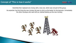 Scientists then replaced one money with a new one, which was not part of this group.
As expected, the first thing the new monkey did was to climb up the ladder for the bananas. Immediately
the other monkeys who were left out, started beating up the new monkey.
Concept of “This is how it works”
 
