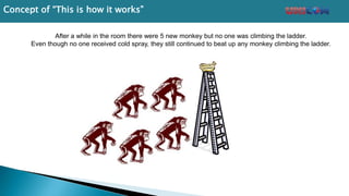 After a while in the room there were 5 new monkey but no one was climbing the ladder.
Even though no one received cold spray, they still continued to beat up any monkey climbing the ladder.
Concept of “This is how it works”
 