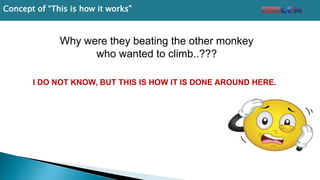 Why were they beating the other monkey
who wanted to climb..???
I DO NOT KNOW, BUT THIS IS HOW IT IS DONE AROUND HERE.
Concept of “This is how it works”
 