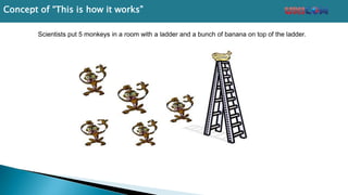 Scientists put 5 monkeys in a room with a ladder and a bunch of banana on top of the ladder.
Concept of “This is how it works”
 