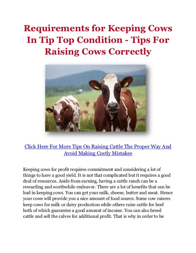 Requirements for Keeping Cows In Tip Top Condition Tips For Raising…