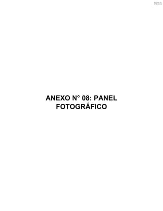 ANEXO N° 08: PANEL
FOTOGRÁFICO
0211
0211
 