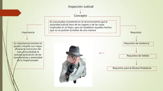Inspección Judicial
Es una prueba consistente en el reconocimiento que la
autoridad judicial hace de los lugares o de las cosas
implicadas en el litigio, para así establecer aquellos hechos
que no se podrían acreditar de otra manera.
Su importancia consiste en
ayudar a formar con mayor
eficacia la convicción del
Juez, procurándole la
precisa apreciación de las
características y extensidad
de lo inspeccionado.
Concepto
Importancia Requisitos
Requisitos de existencia
Requisitos de Validez
Requisitos para la Eficacia Probatoria
 