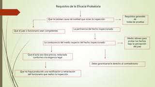 Requisitos de la Eficacia Probatoria
Que no existan causa de nulidad que vicien la inspección
Requisitos generales
de
todas las pruebas
Que el juez o funcionario sean competentes
La conducencia del medio respecto del hecho inspeccionado
Medio idóneo para
probar los hechos
bajo la percepción
del juez
Que el acta sea clara precisa, redactada
conforme a la exigencia legal
La pertinencia del hecho inspeccionado
Que no haya producido una rectificación o retractación
del funcionario que realizo la inspección
Debe garantizarse le derecho al contradictorio
 