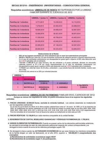 Requisitos de renta y patrimonio Becas 2013-24