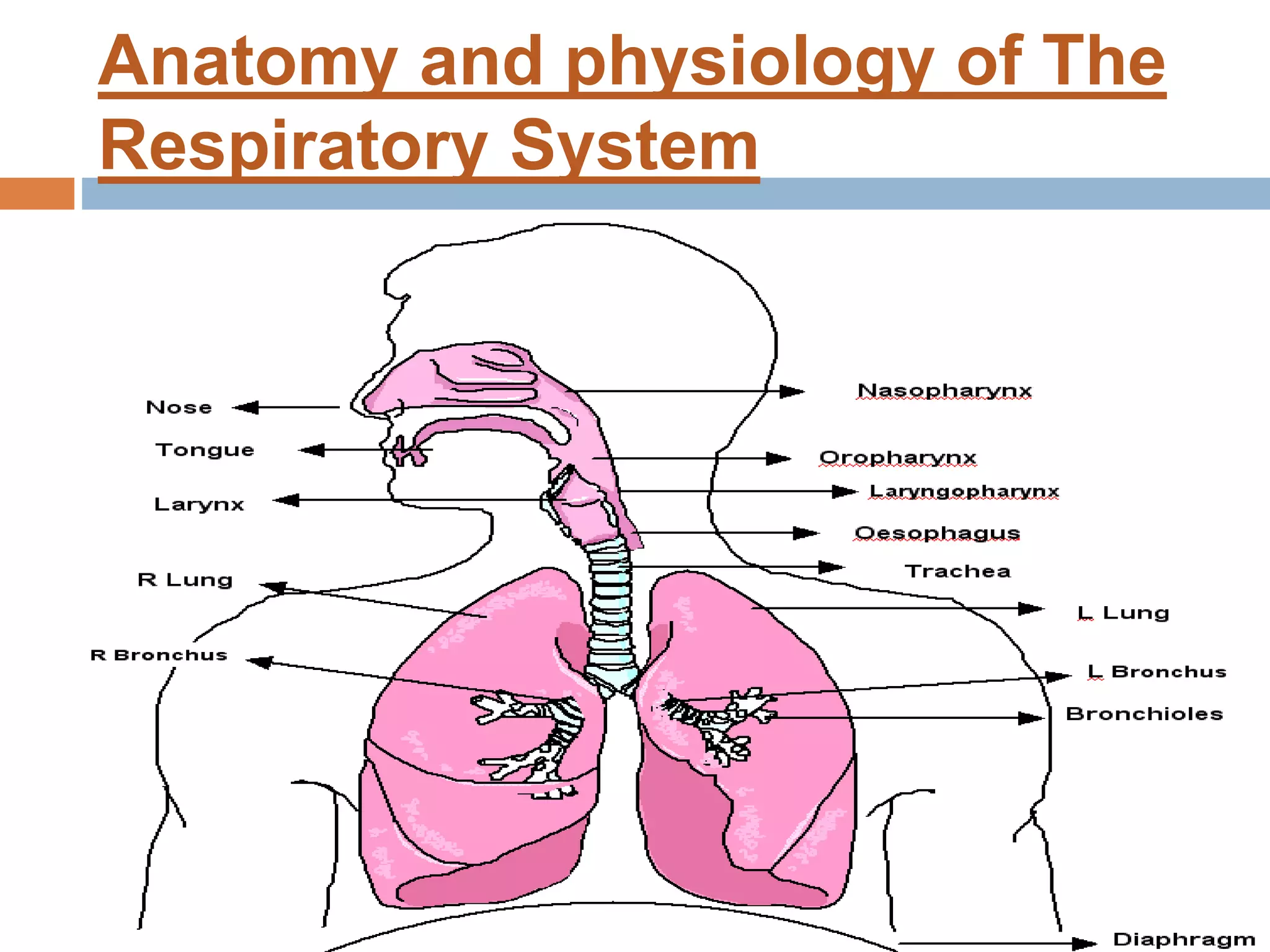 RESPIRATORY DISORDERS IN CHILDREN