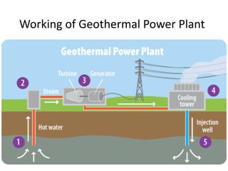 Working of Geothermal Power Plant
 