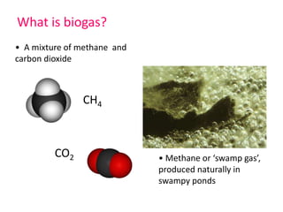 What is biogas?
• A mixture of methane and
carbon dioxide
CH4
CO2 • Methane or ‘swamp gas’,
produced naturally in
swampy ponds
 
