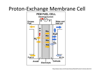 Proton-Exchange Membrane Cell
http://www.news.cornell.edu/releases/Nov03/Fuelcell.institute.deb.html
 