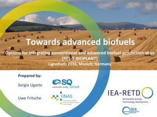Towards advanced biofuels
Prepared by:
Sergio Ugarte
Uwe Fritsche
Options for integrating conventional and advanced biofuel production sites
(RES-T-BIOPLANT)
Lignofuels 2016, Munich, Germany
 