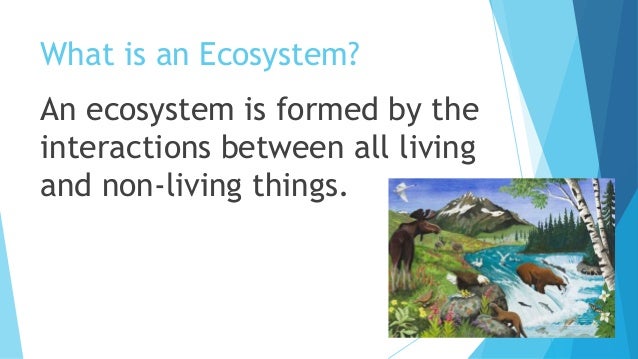 an paper on types of freshwater biomes an paper on types of freshwater biomes